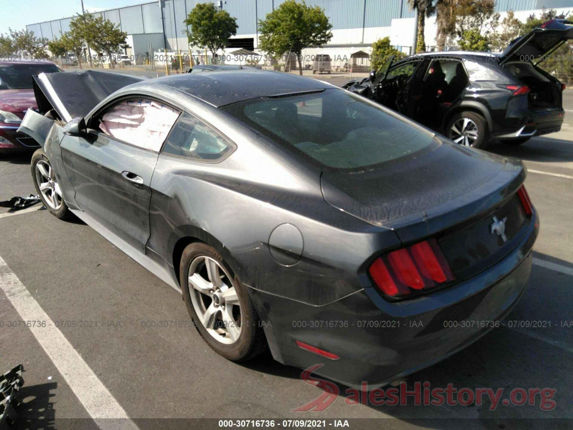 1FA6P8AM0H5292209 2017 FORD MUSTANG