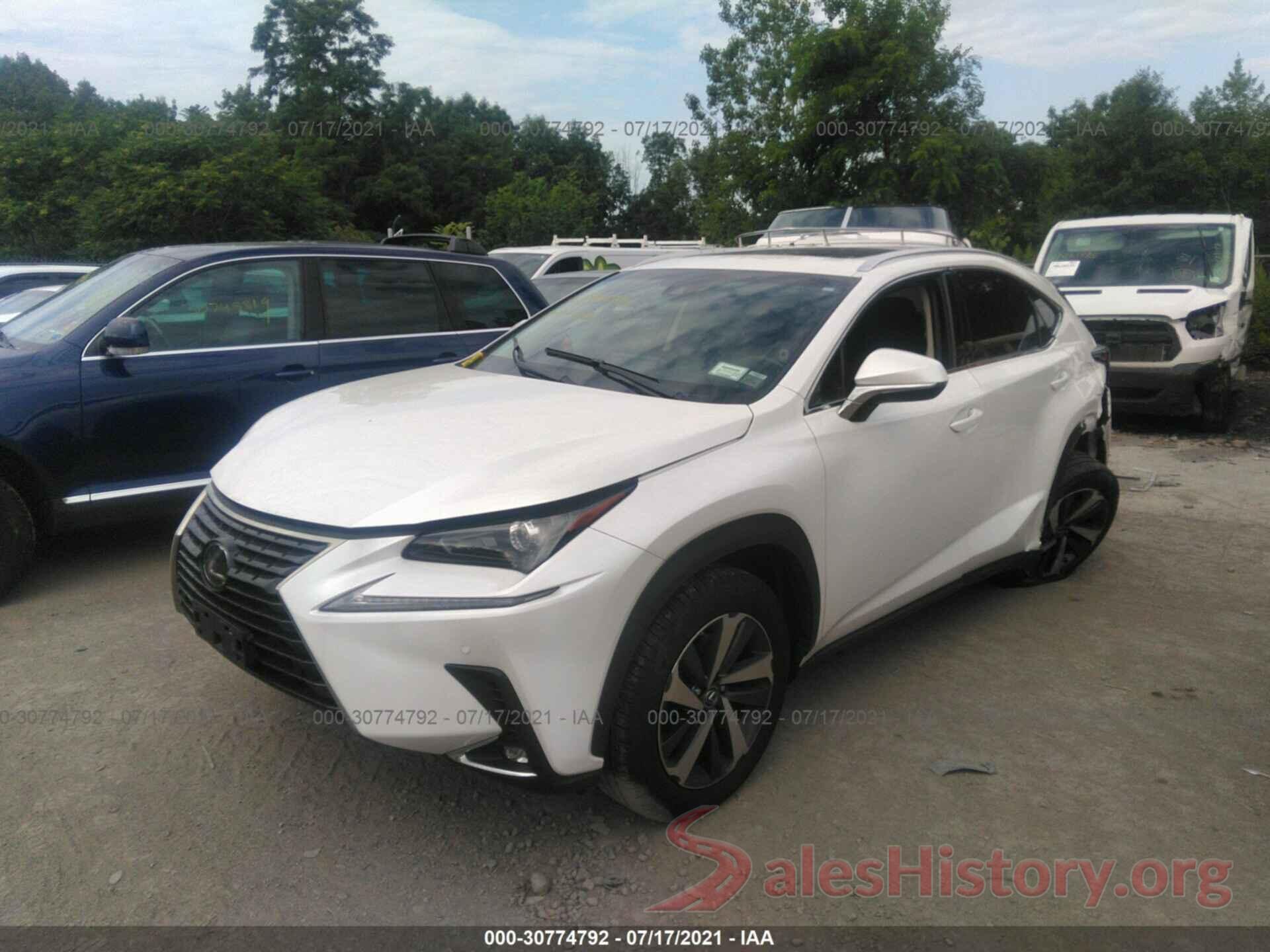 JTJBARBZ3K2208397 2019 LEXUS NX