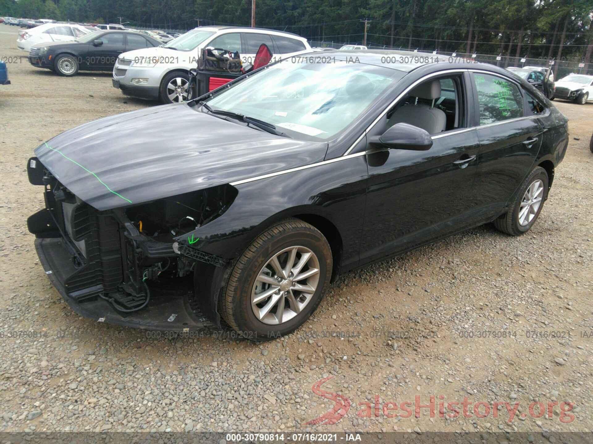 5NPE24AF2KH736230 2019 HYUNDAI SONATA