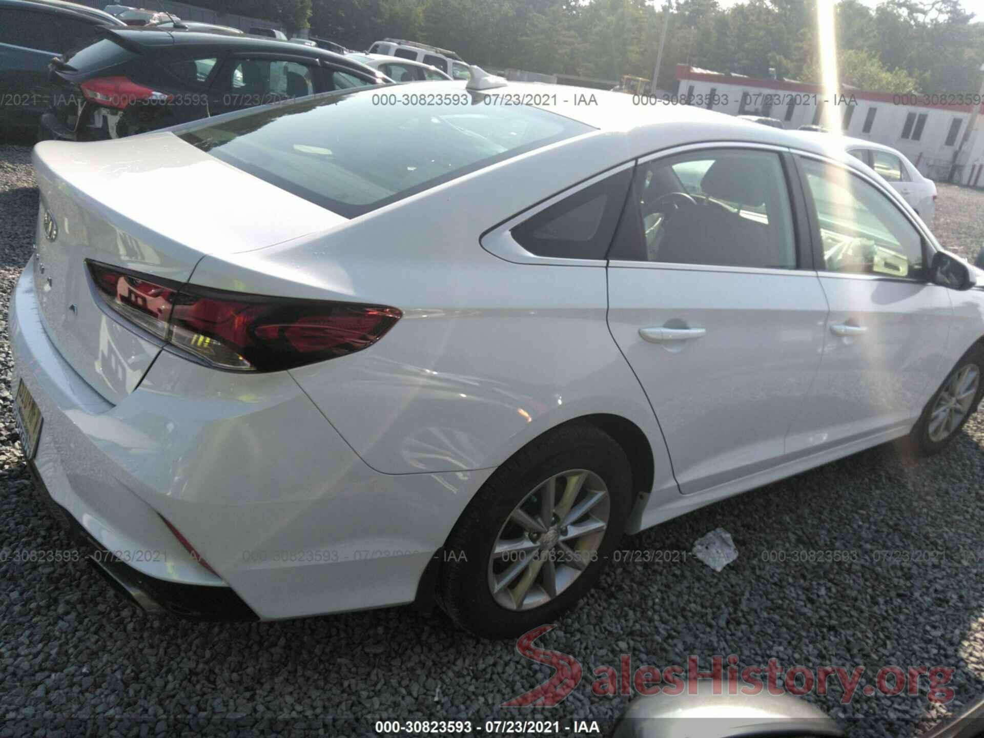 5NPE24AF6KH800253 2019 HYUNDAI SONATA