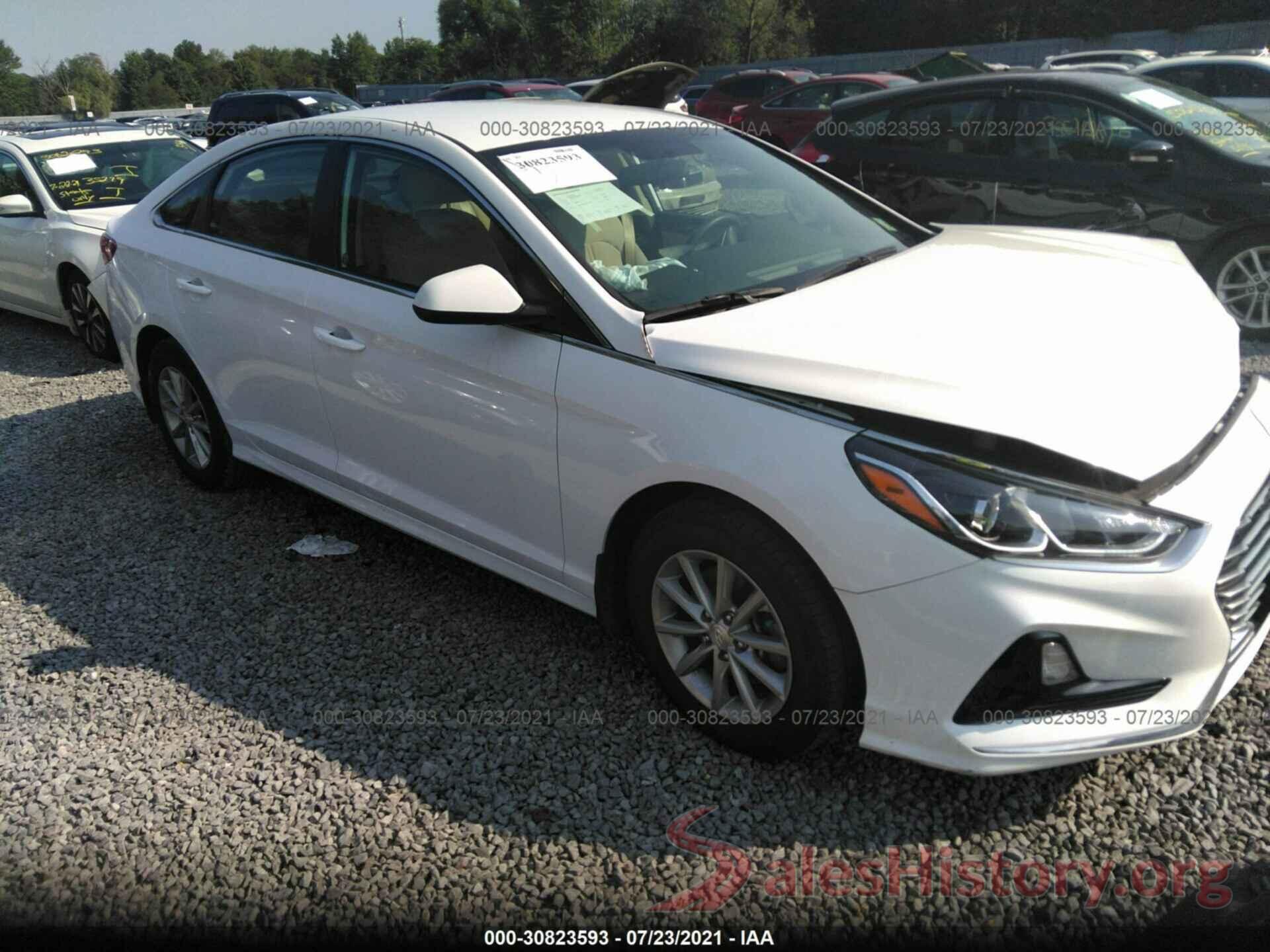 5NPE24AF6KH800253 2019 HYUNDAI SONATA