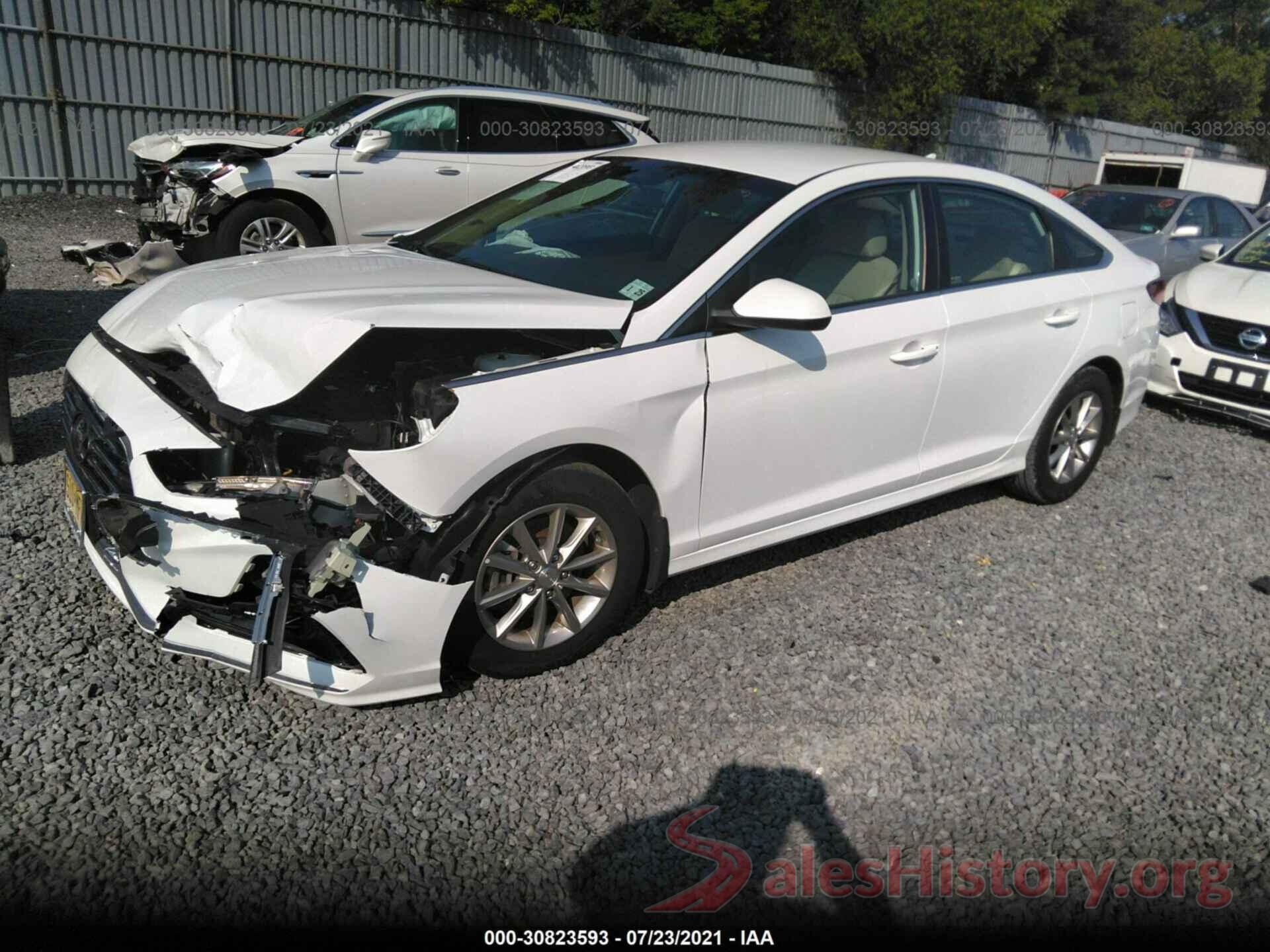 5NPE24AF6KH800253 2019 HYUNDAI SONATA