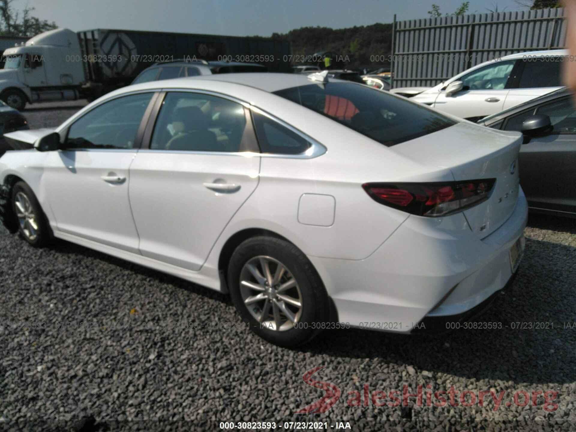 5NPE24AF6KH800253 2019 HYUNDAI SONATA