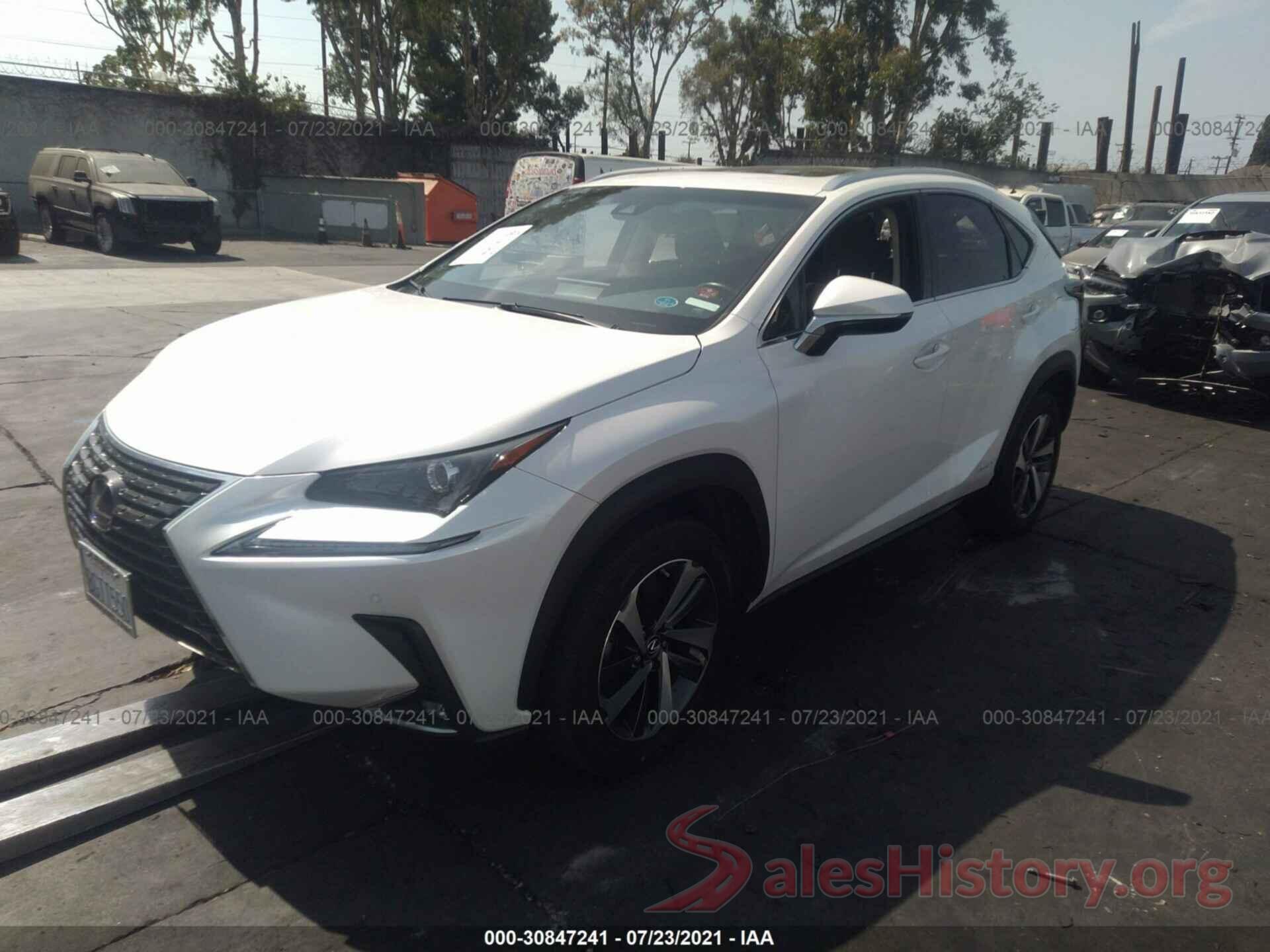 JTJBJRBZ6K2106768 2019 LEXUS NX