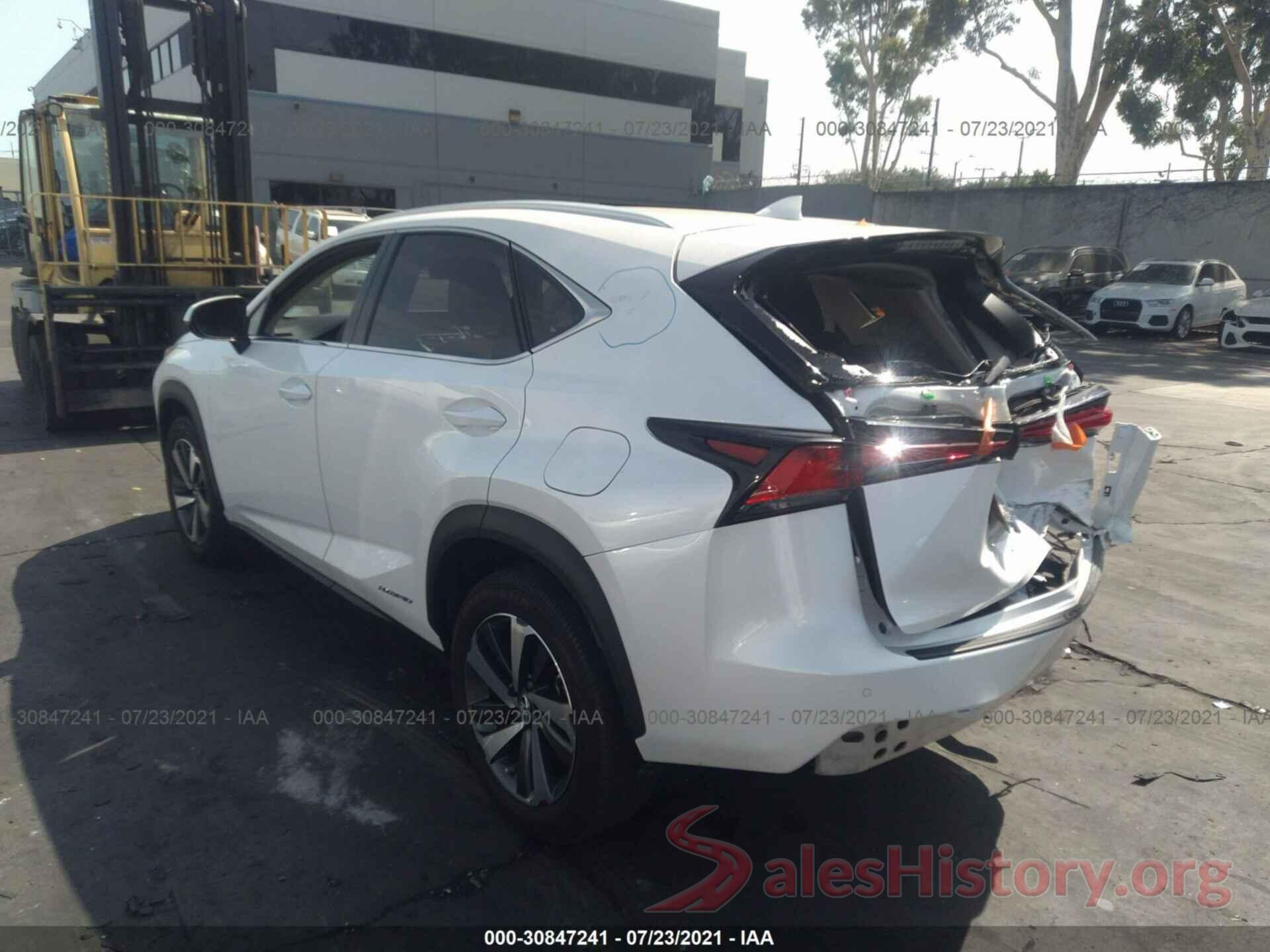 JTJBJRBZ6K2106768 2019 LEXUS NX