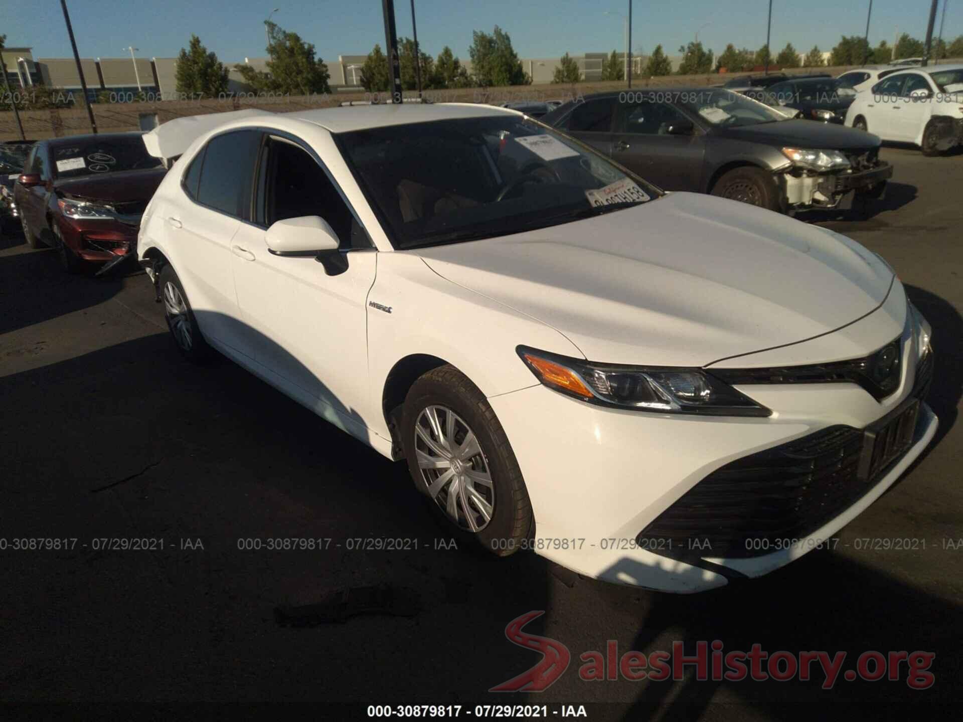 4T1B31HK5KU509536 2019 TOYOTA CAMRY