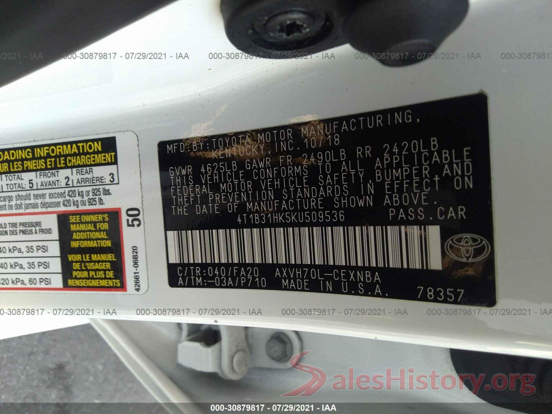 4T1B31HK5KU509536 2019 TOYOTA CAMRY