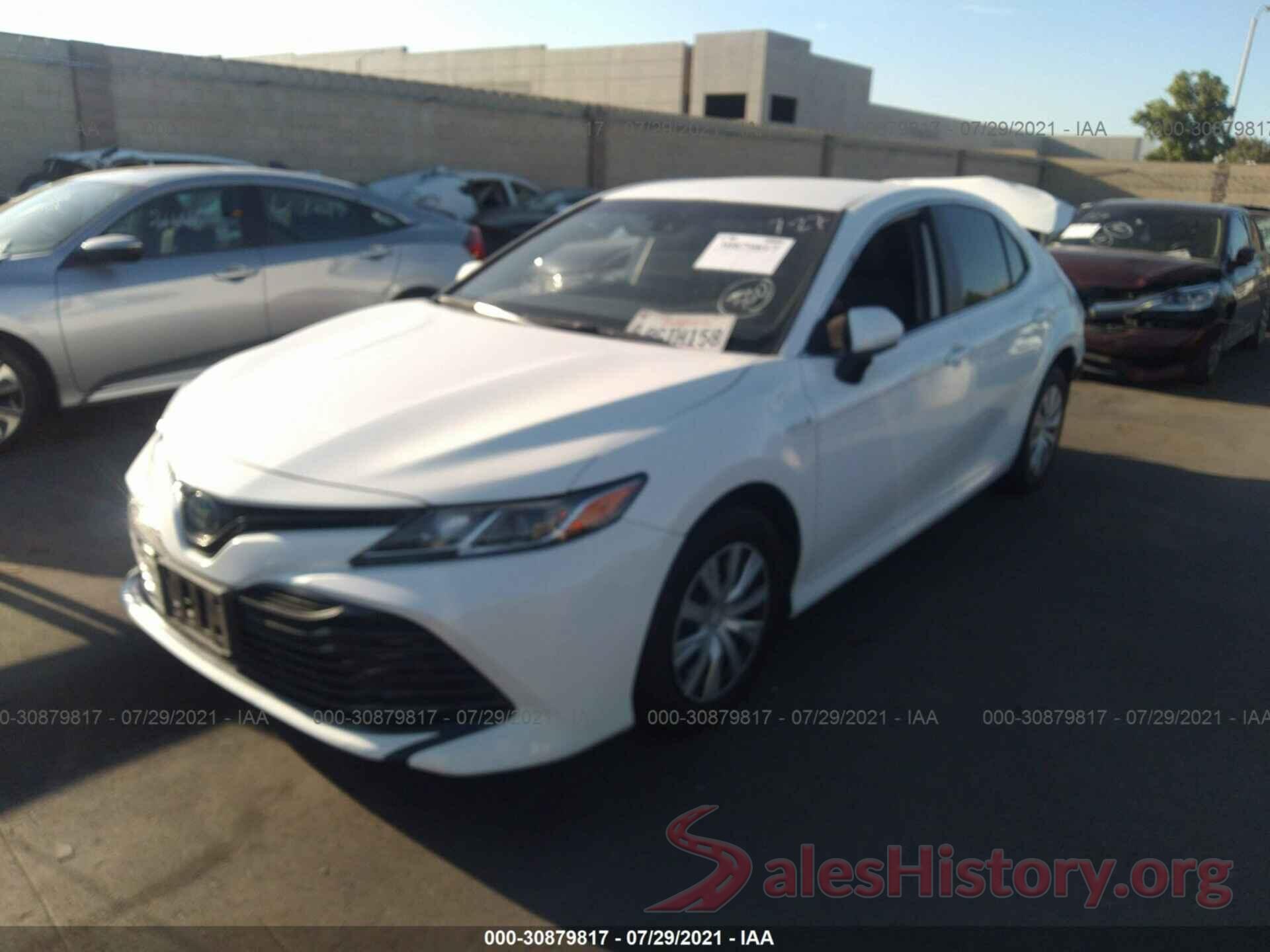 4T1B31HK5KU509536 2019 TOYOTA CAMRY