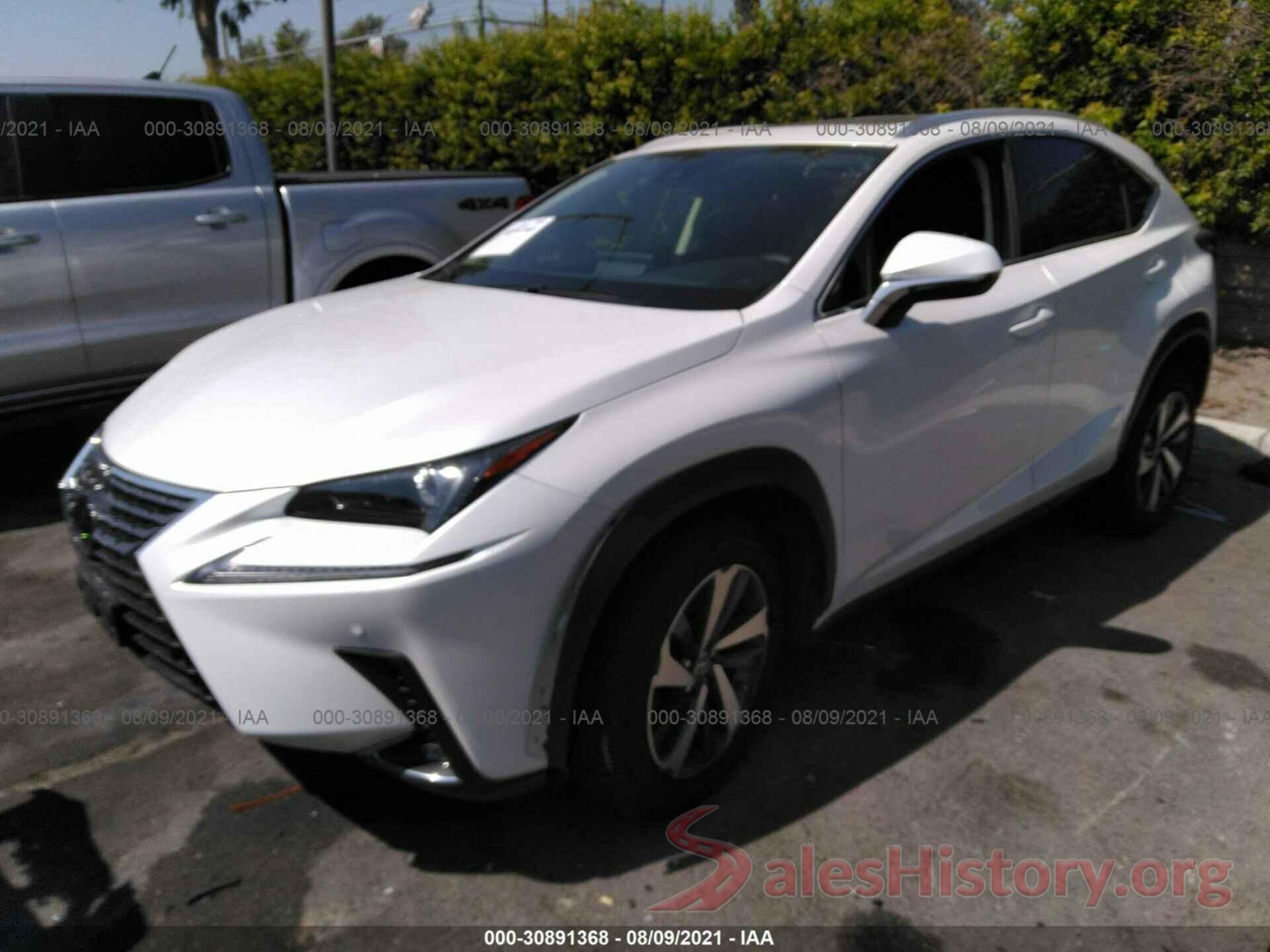 JTJGARBZ6M5026023 2021 LEXUS NX