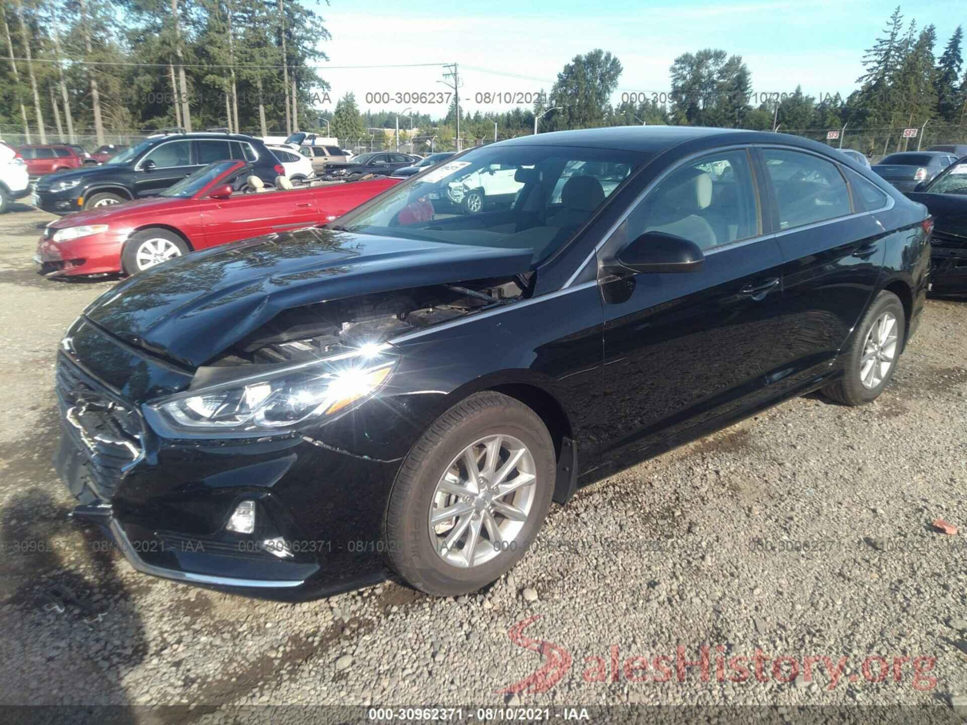 5NPE24AF8KH801632 2019 HYUNDAI SONATA