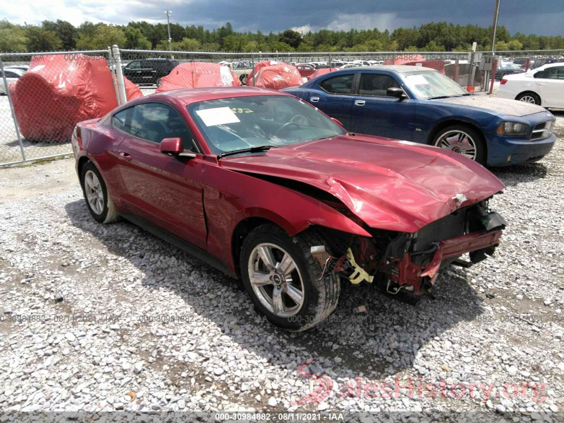 1FA6P8AM4H5300702 2017 FORD MUSTANG