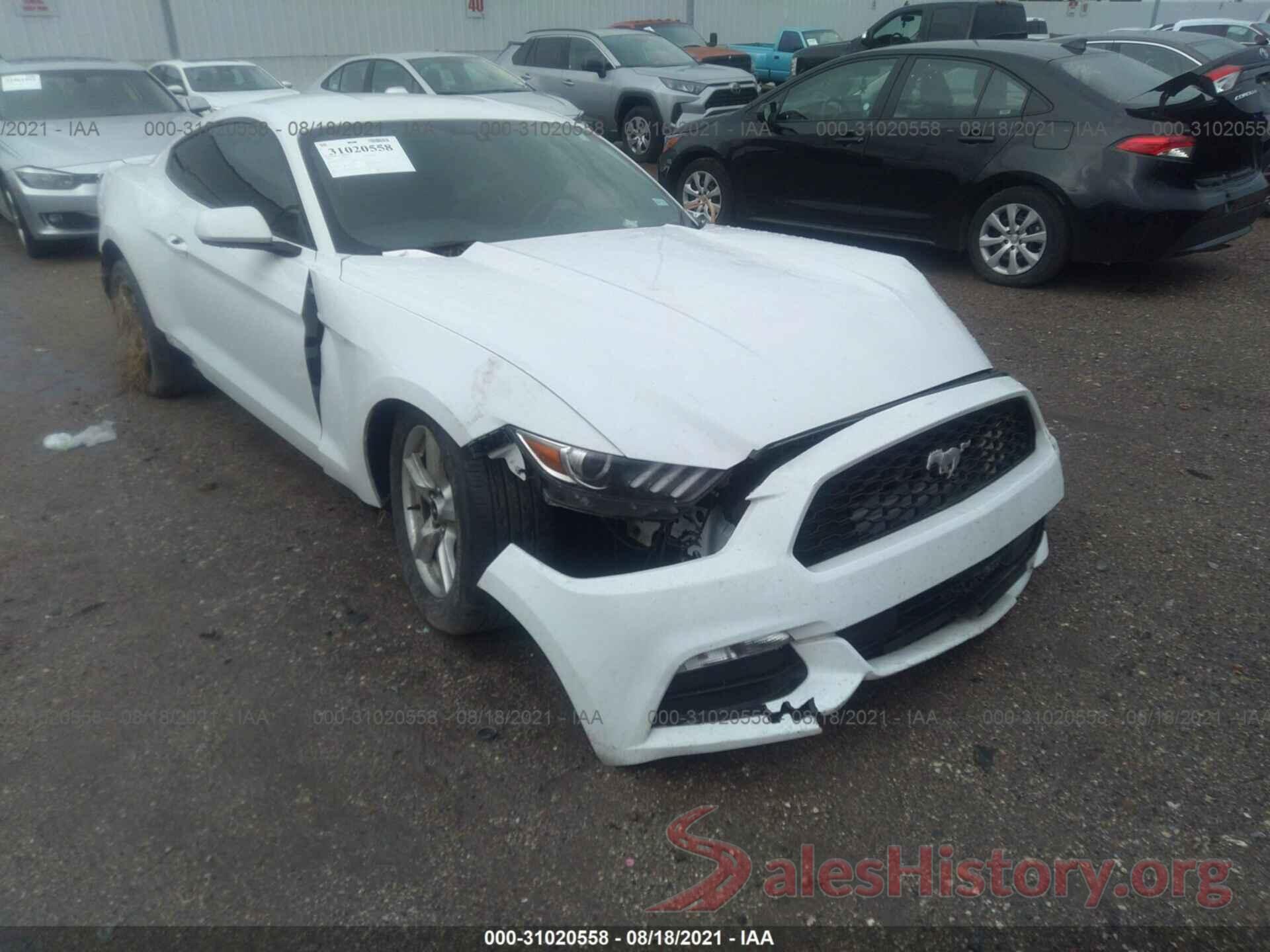 1FA6P8AM9H5346221 2017 FORD MUSTANG