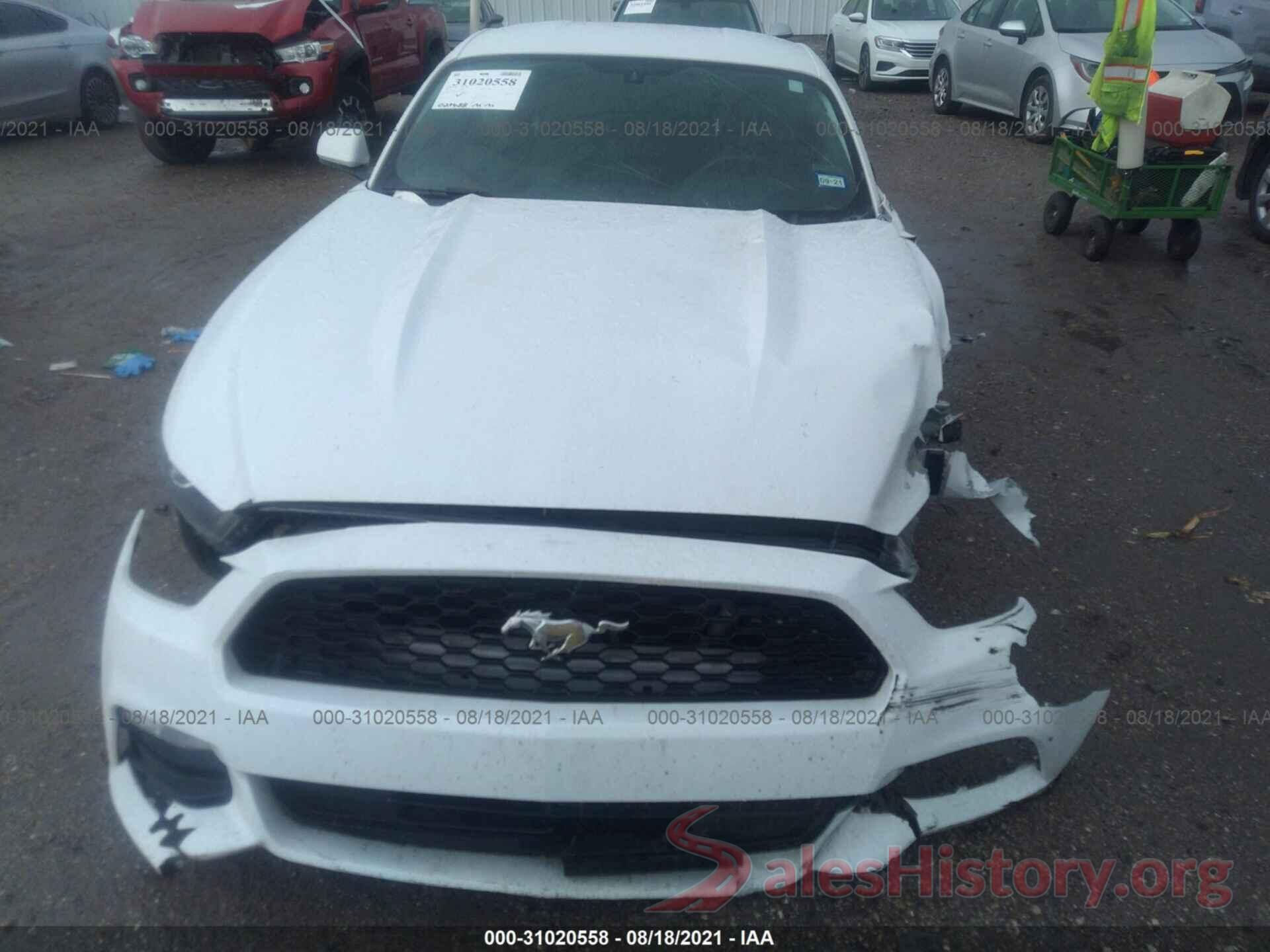 1FA6P8AM9H5346221 2017 FORD MUSTANG