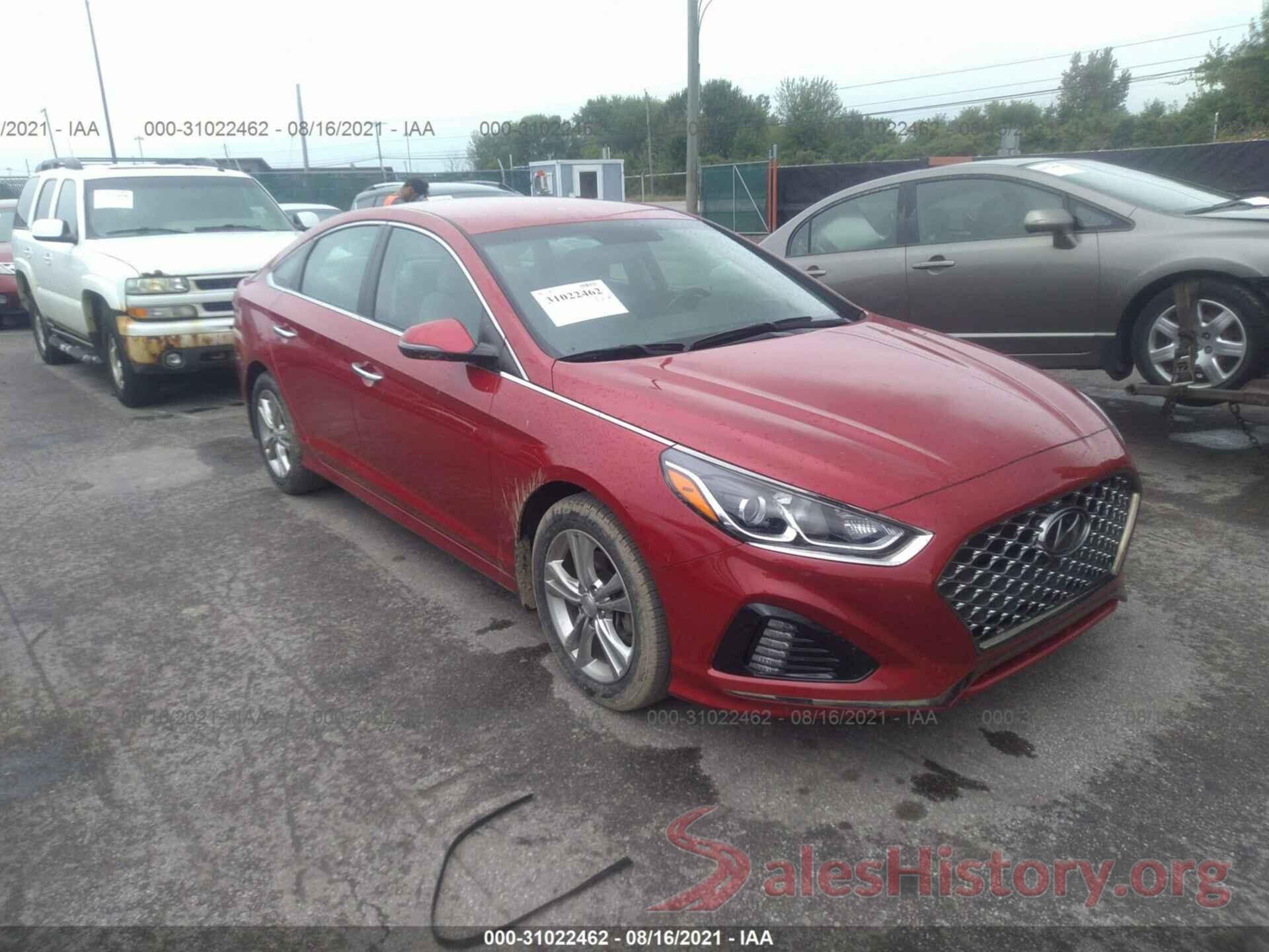 5NPE34AF1KH804790 2019 HYUNDAI SONATA