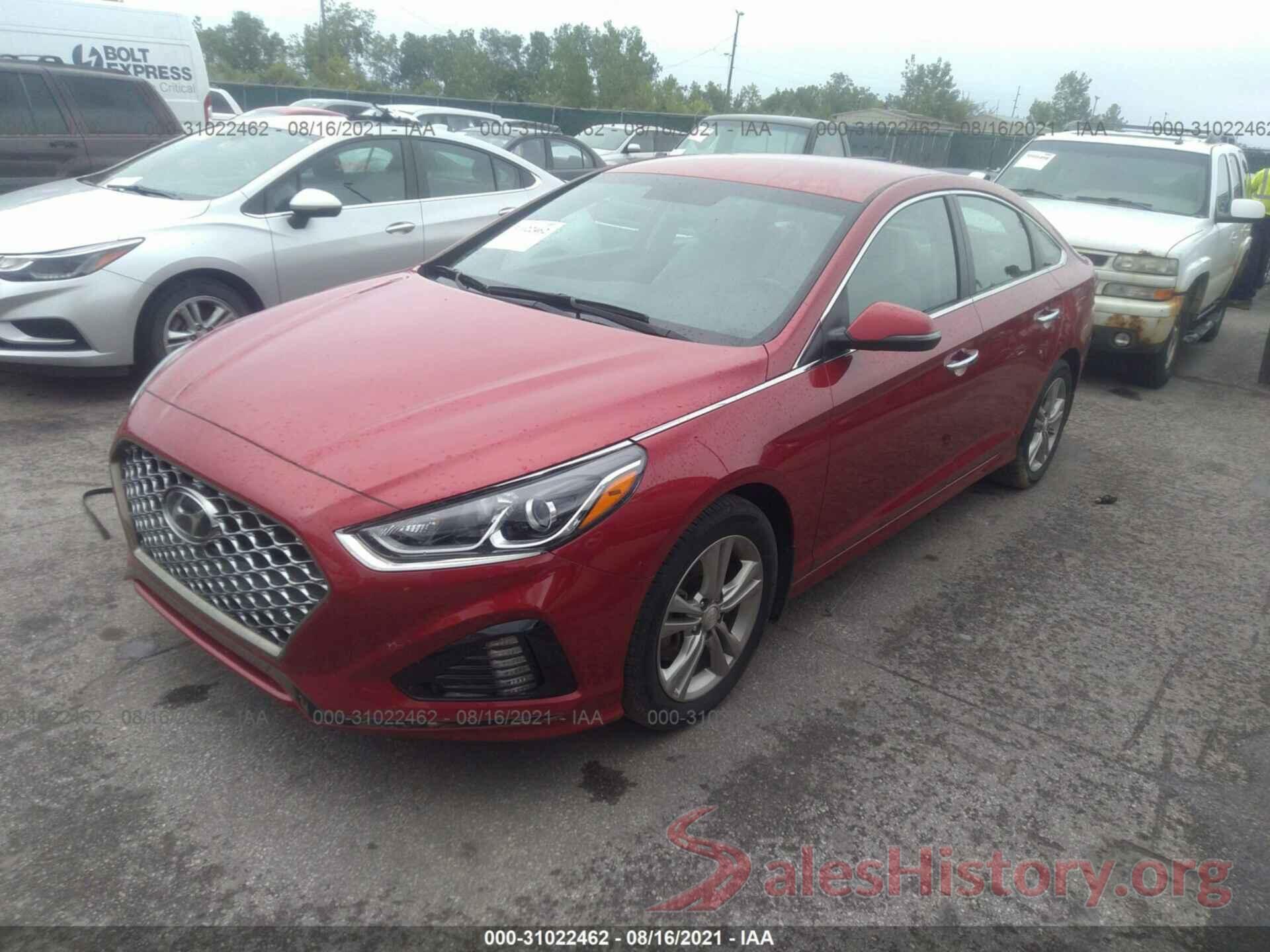 5NPE34AF1KH804790 2019 HYUNDAI SONATA