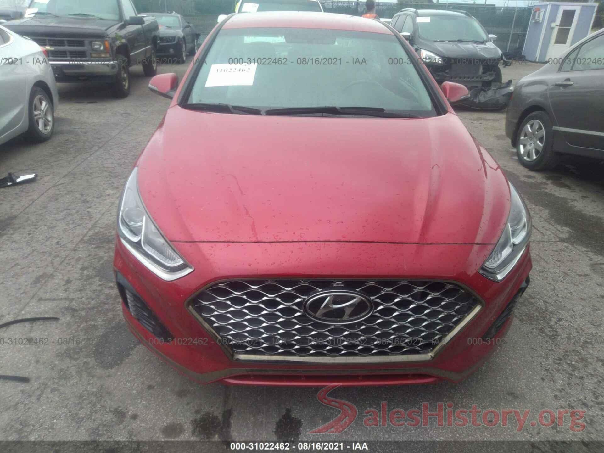 5NPE34AF1KH804790 2019 HYUNDAI SONATA