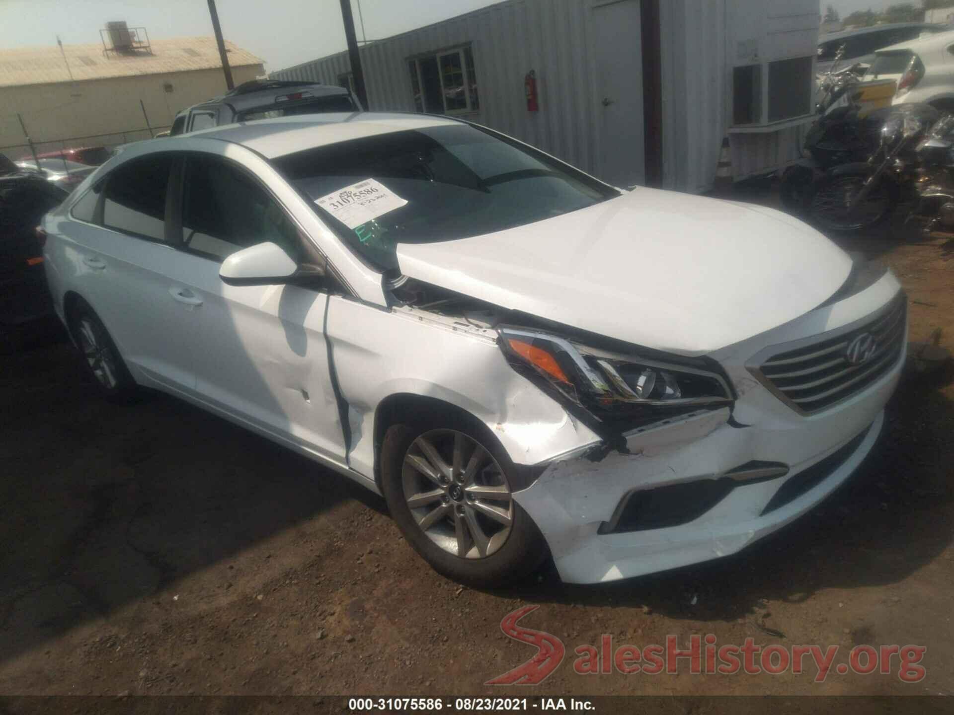 5NPE24AF7HH451516 2017 HYUNDAI SONATA