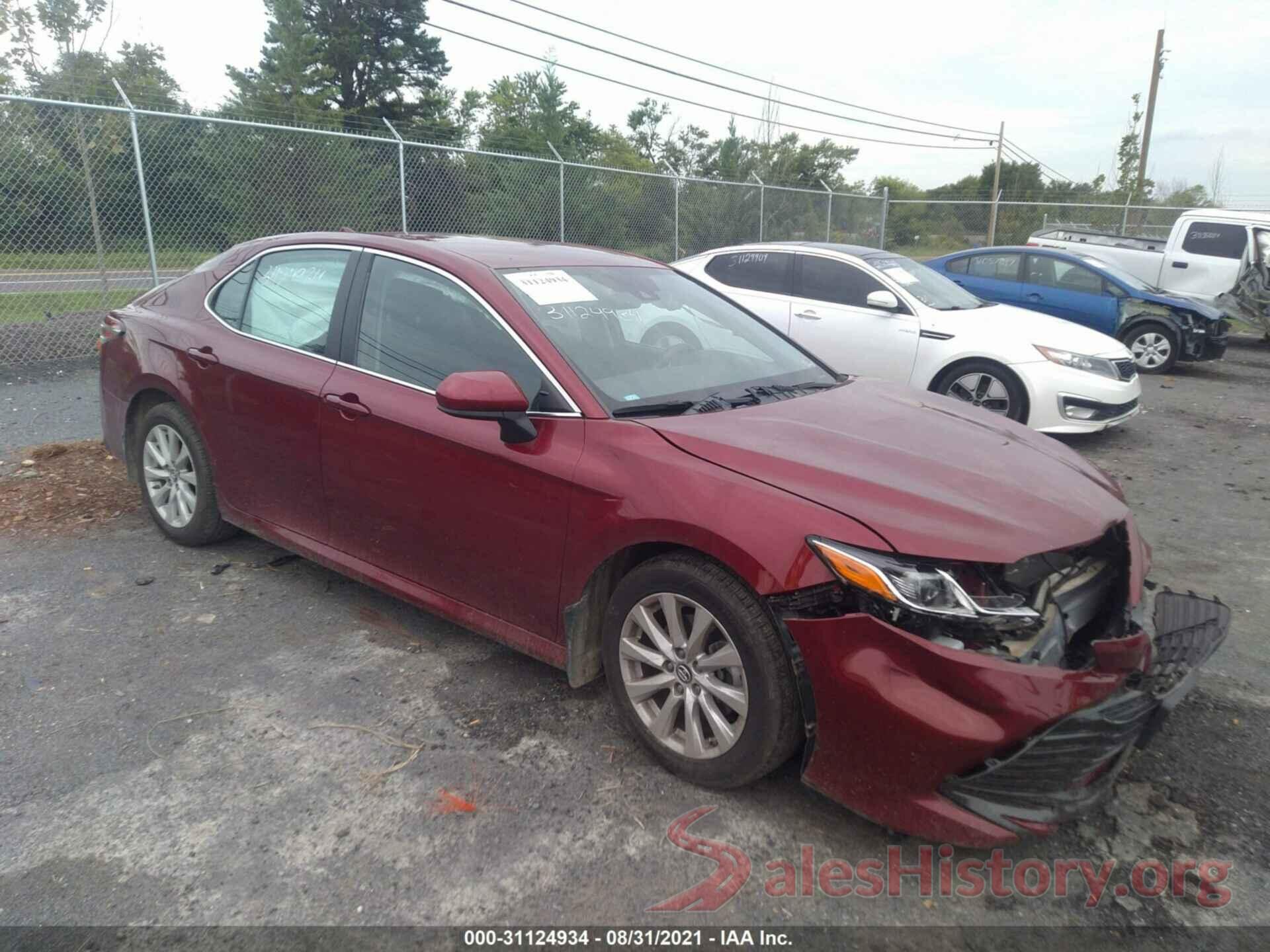 4T1B11HK9KU818772 2019 TOYOTA CAMRY