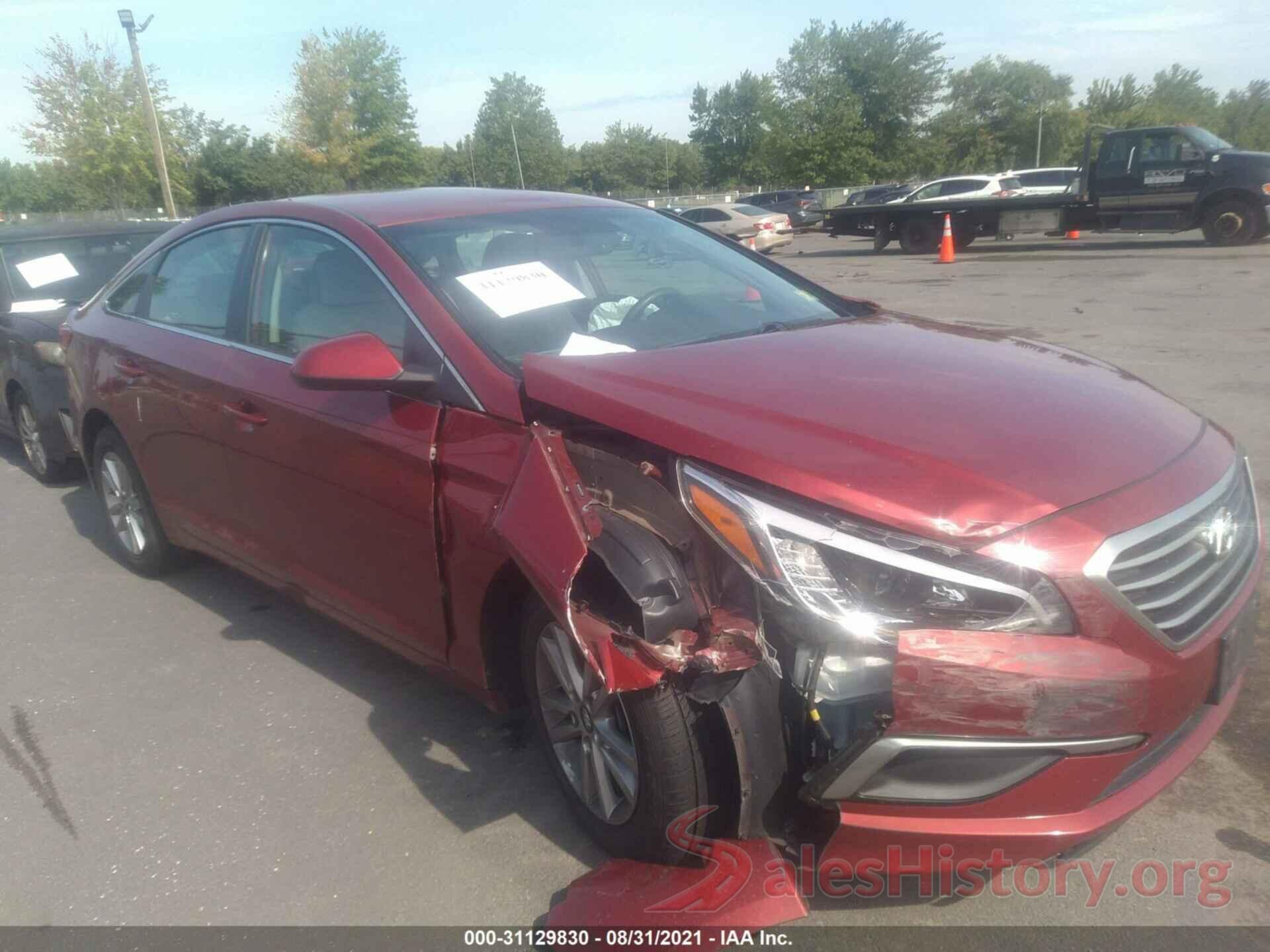 5NPE24AF4GH313673 2016 HYUNDAI SONATA