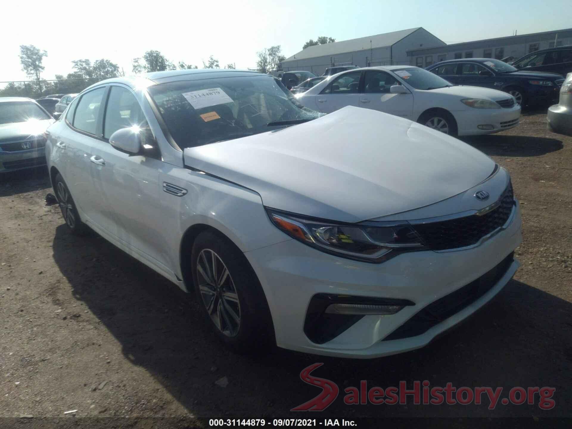 5XXGU4L12KG338600 2019 KIA OPTIMA