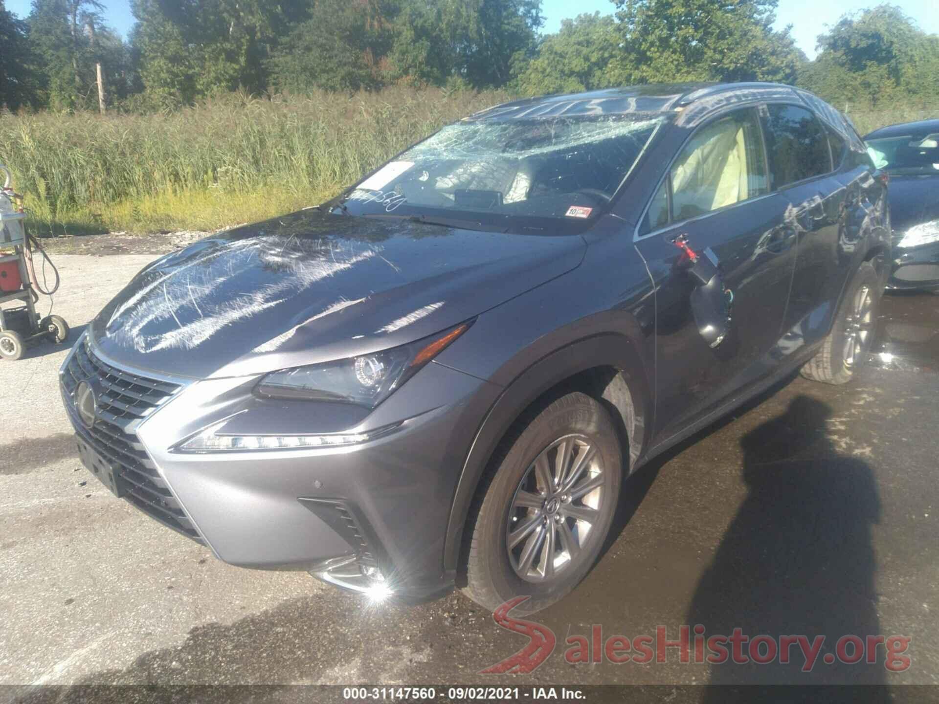 JTJDARDZ6M2240091 2021 LEXUS NX