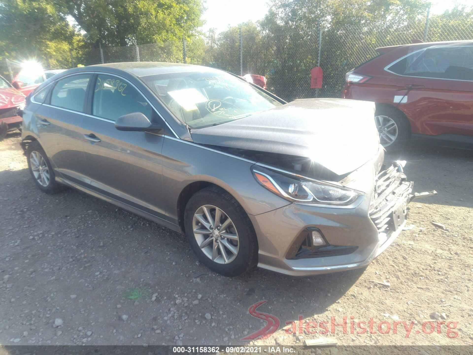 5NPE24AF1KH781613 2019 HYUNDAI SONATA