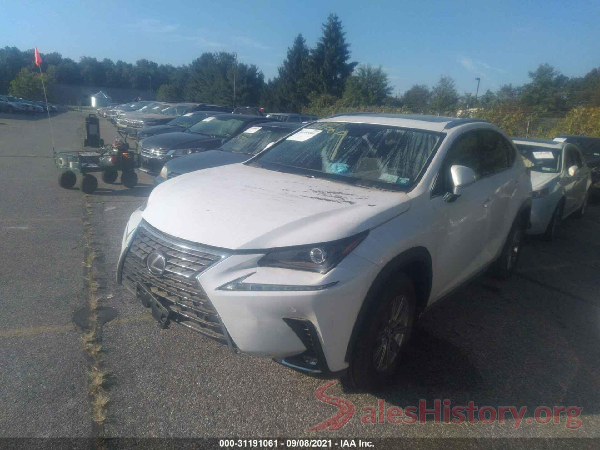 JTJDARDZ8M5021812 2021 LEXUS NX