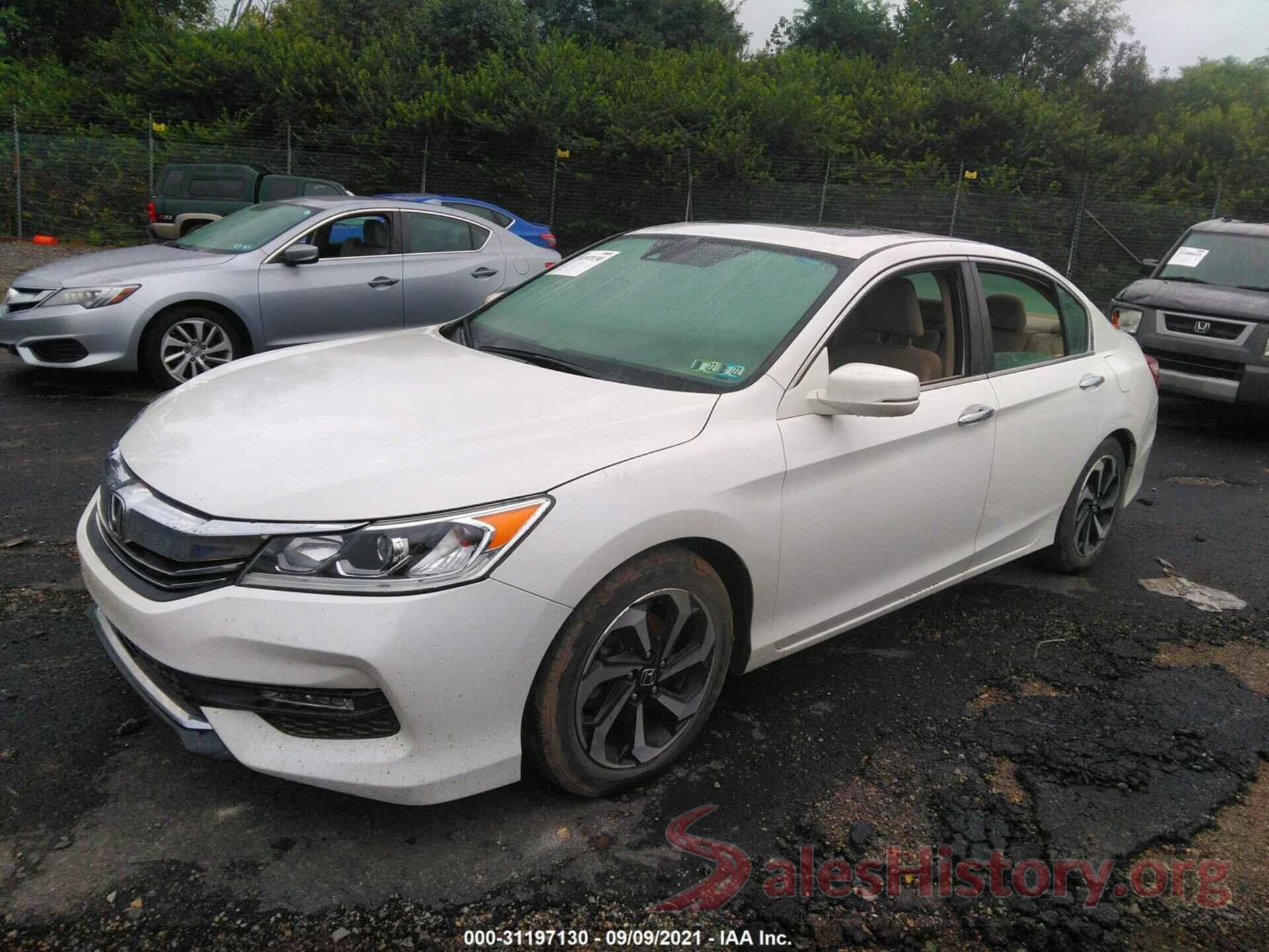 1HGCR2F96GA244973 2016 HONDA ACCORD SEDAN