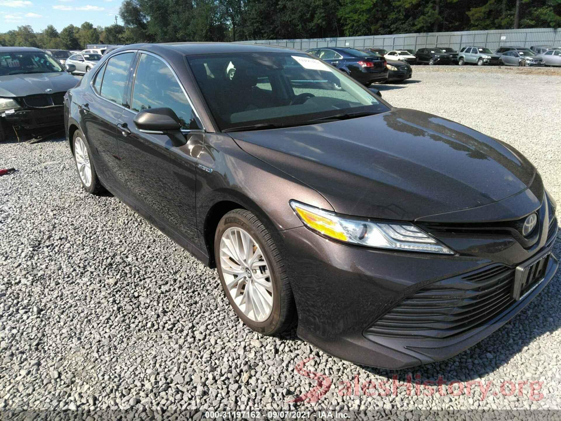 4T1B21HK8KU013102 2019 TOYOTA CAMRY