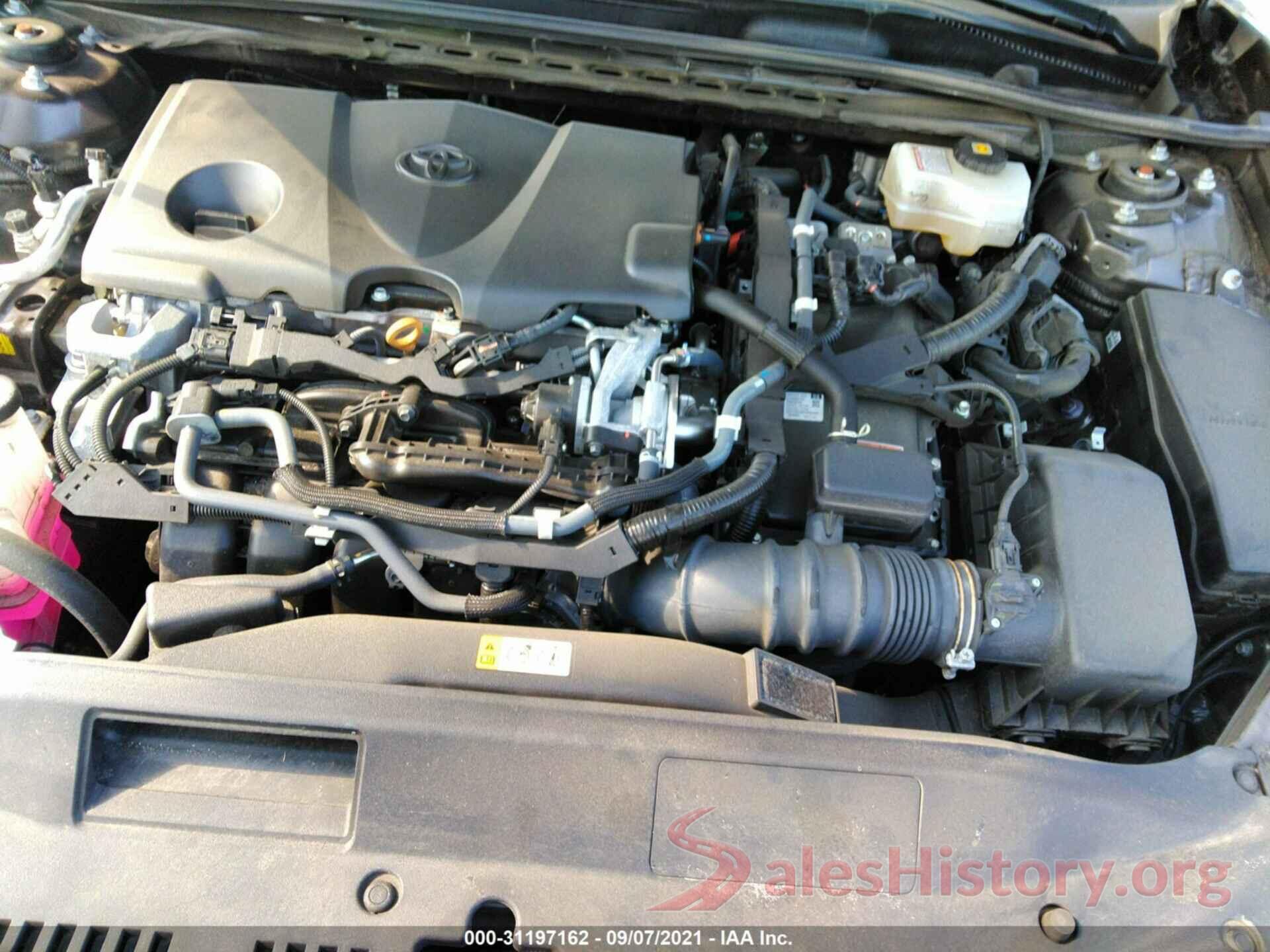 4T1B21HK8KU013102 2019 TOYOTA CAMRY