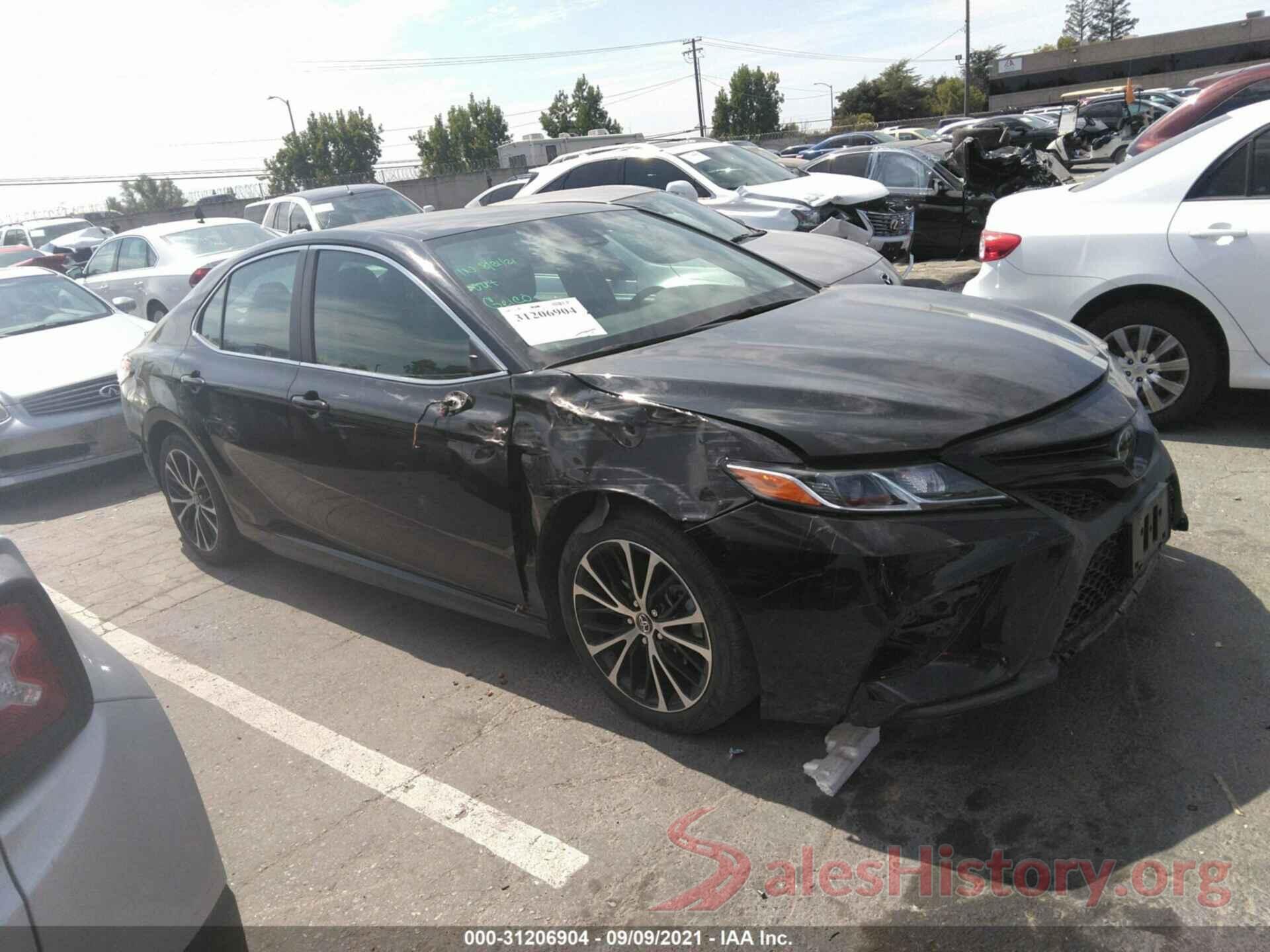 4T1B11HK0KU220442 2019 TOYOTA CAMRY