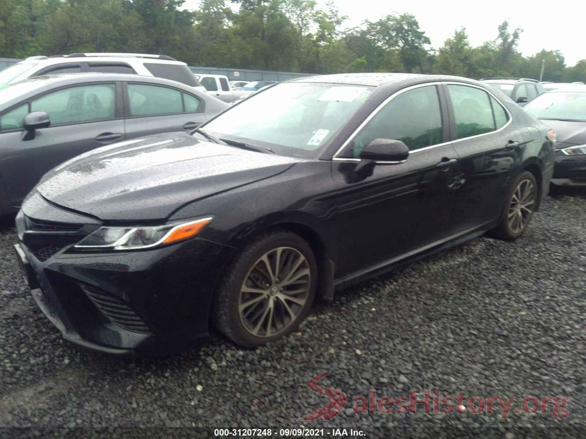 4T1B11HK0KU804730 2019 TOYOTA CAMRY