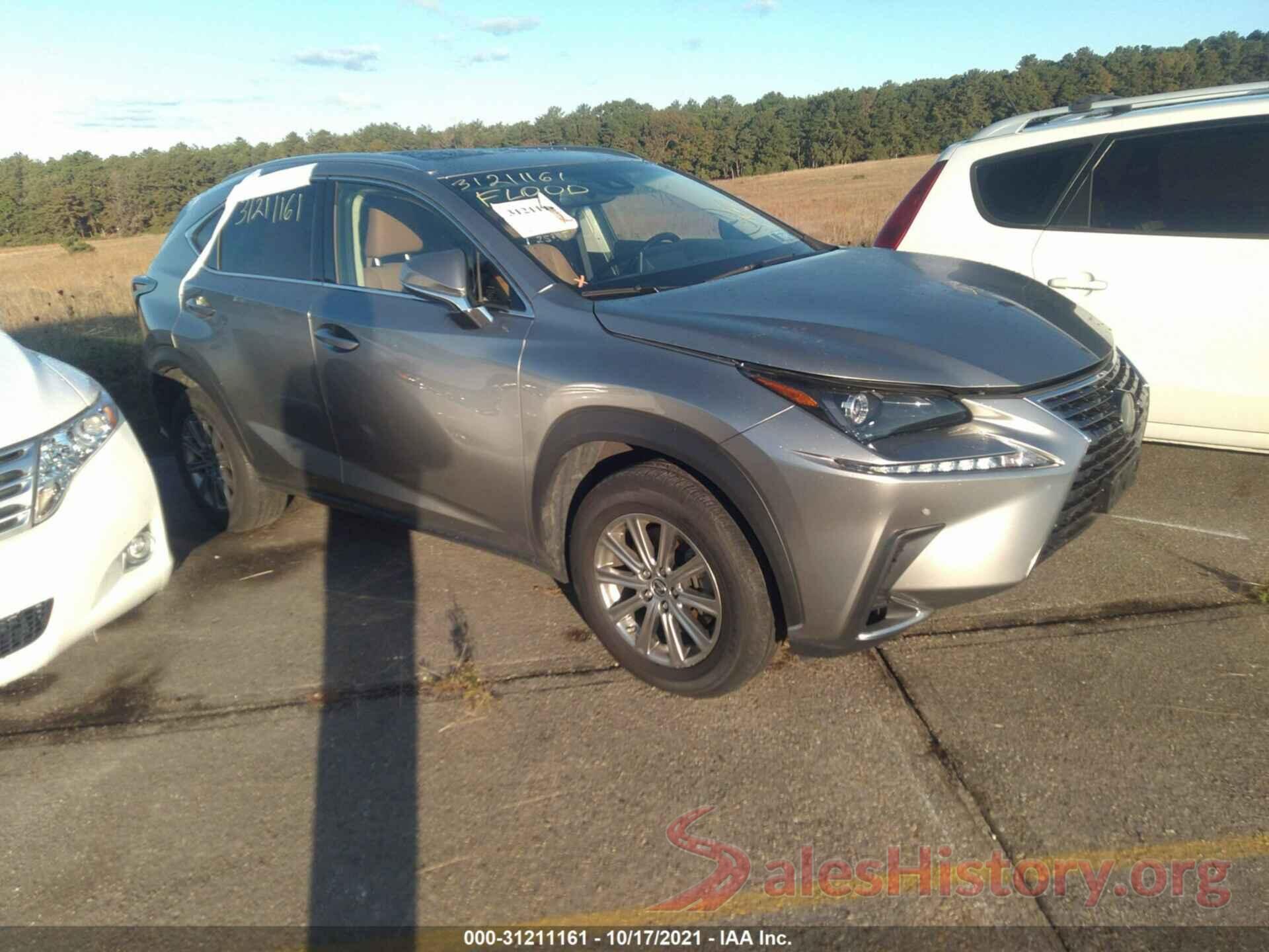 JTJBARBZ9K2214379 2019 LEXUS NX