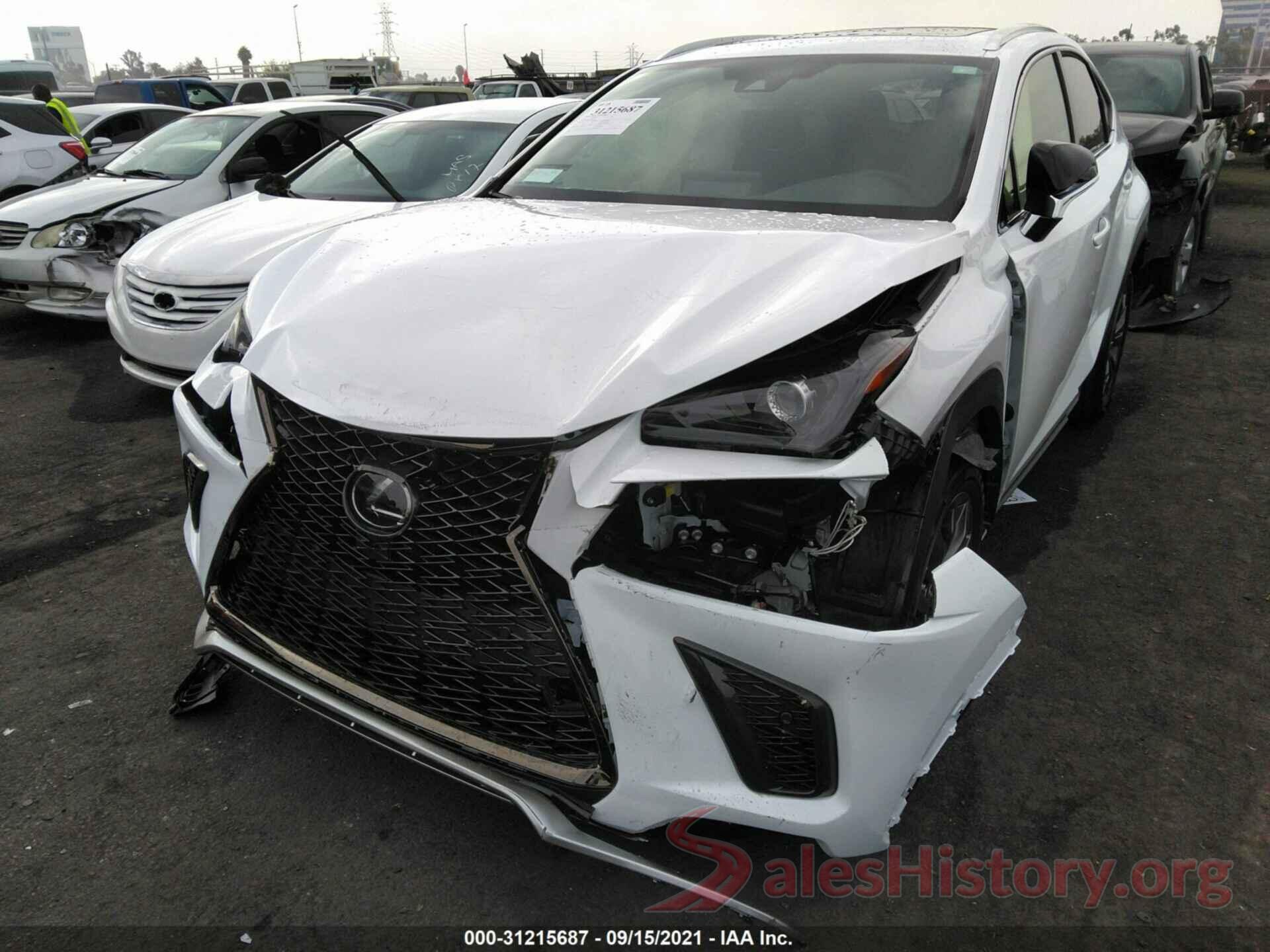 JTJSARBZ1M5033052 2021 LEXUS NX