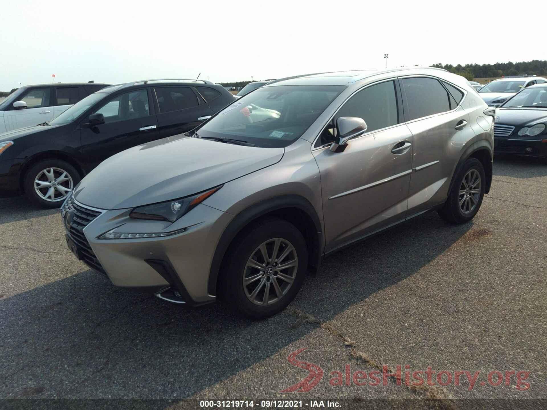 JTJBARBZ7K2205454 2019 LEXUS NX