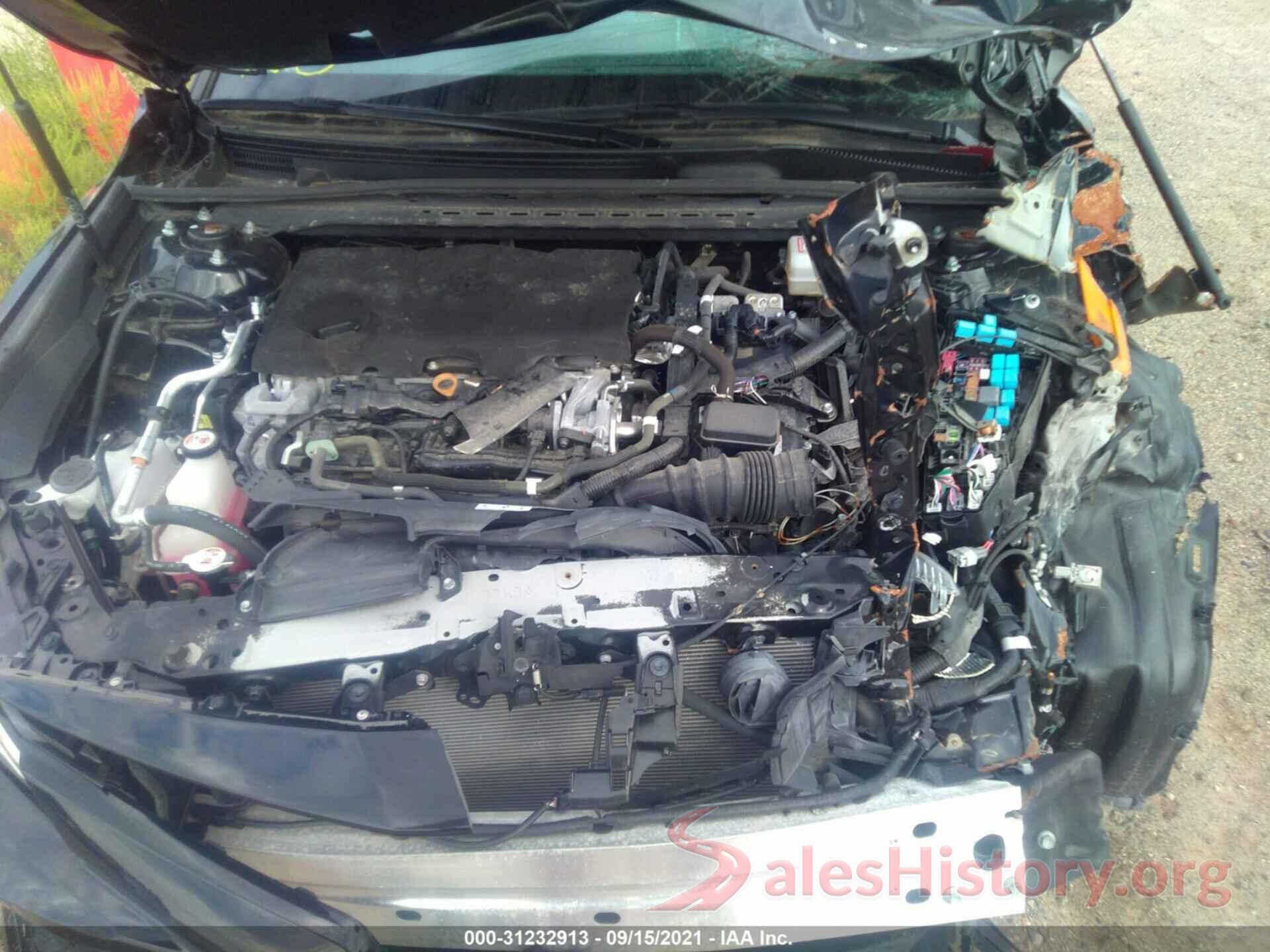 4T1B31HK5KU006816 2019 TOYOTA CAMRY