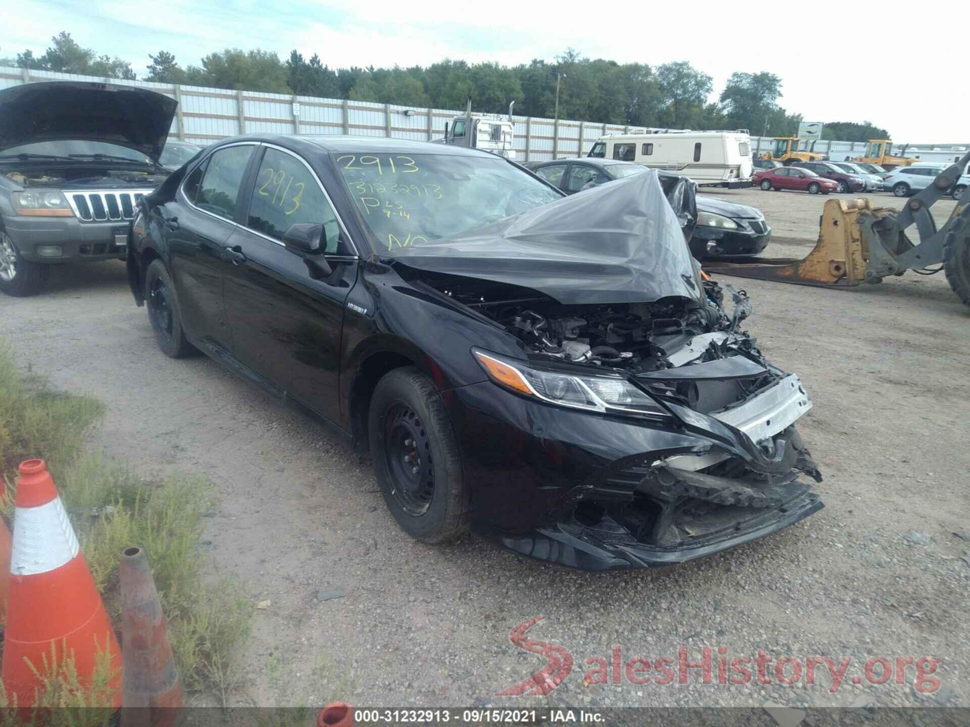 4T1B31HK5KU006816 2019 TOYOTA CAMRY