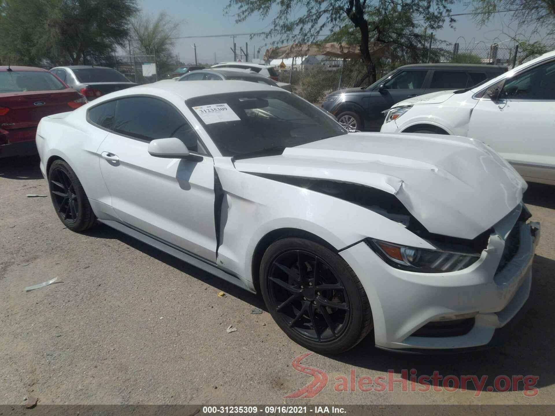 1FA6P8AM2G5221348 2016 FORD MUSTANG