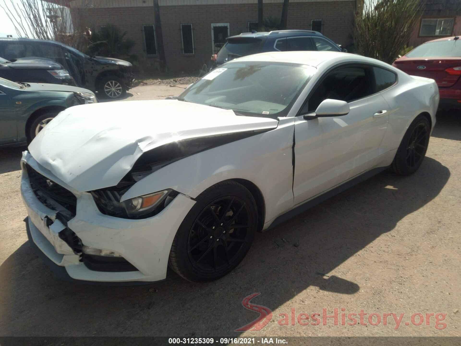 1FA6P8AM2G5221348 2016 FORD MUSTANG