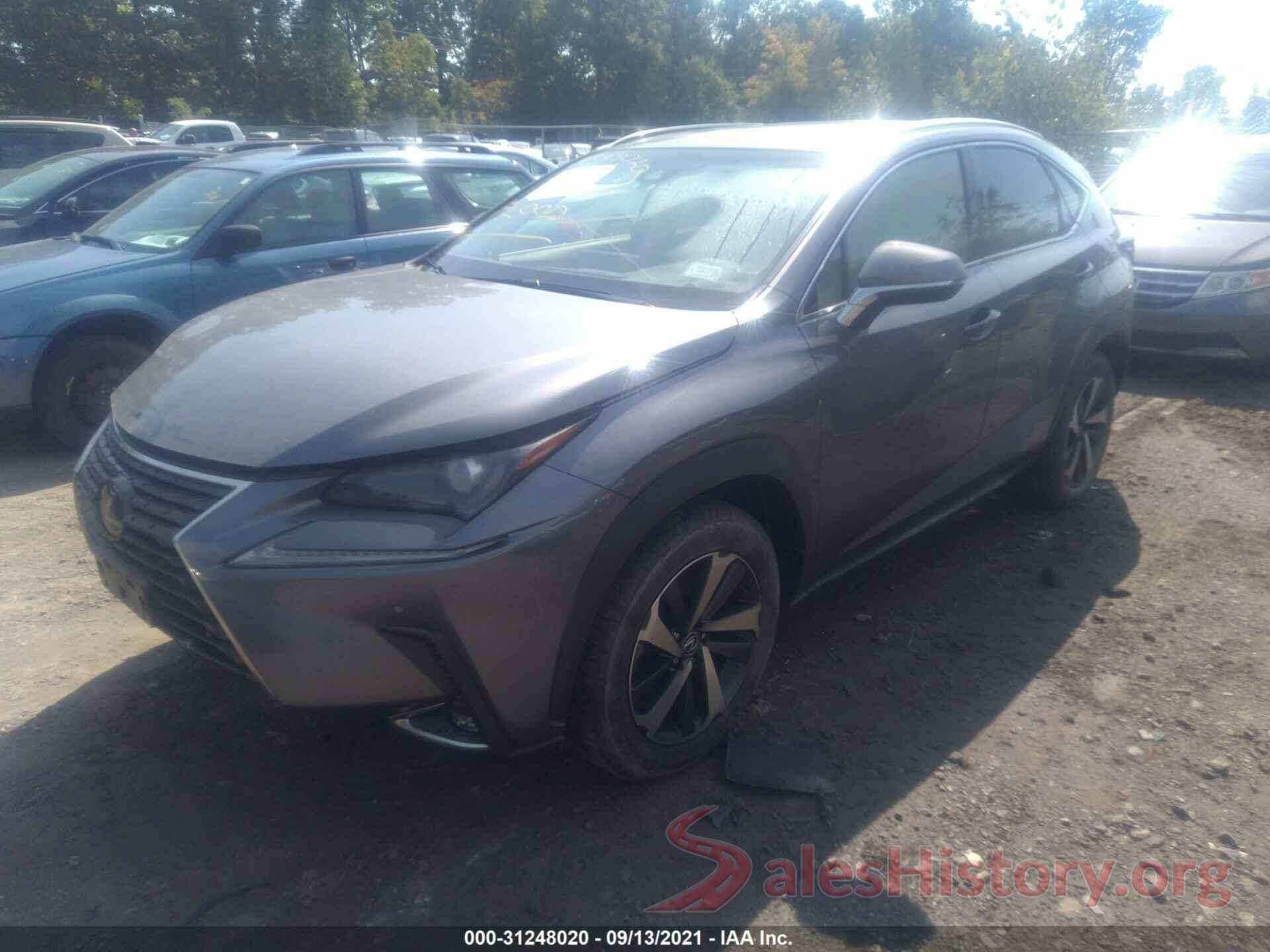 JTJBARBZ8K2217256 2019 LEXUS NX