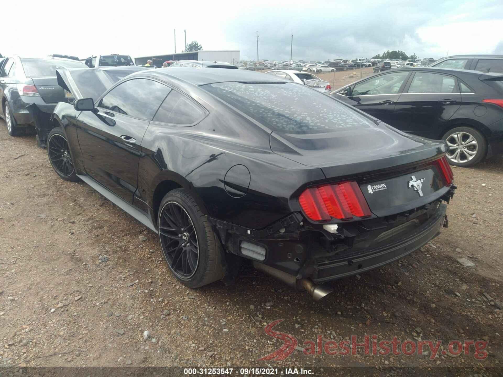 1FA6P8AM9H5301182 2017 FORD MUSTANG