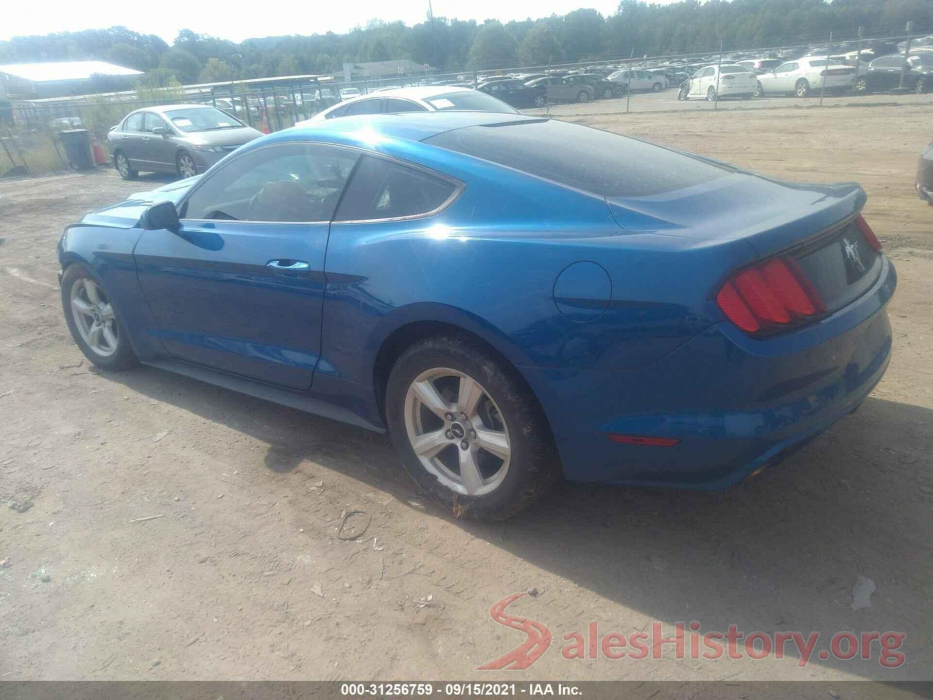 1FA6P8AM0H5280481 2017 FORD MUSTANG