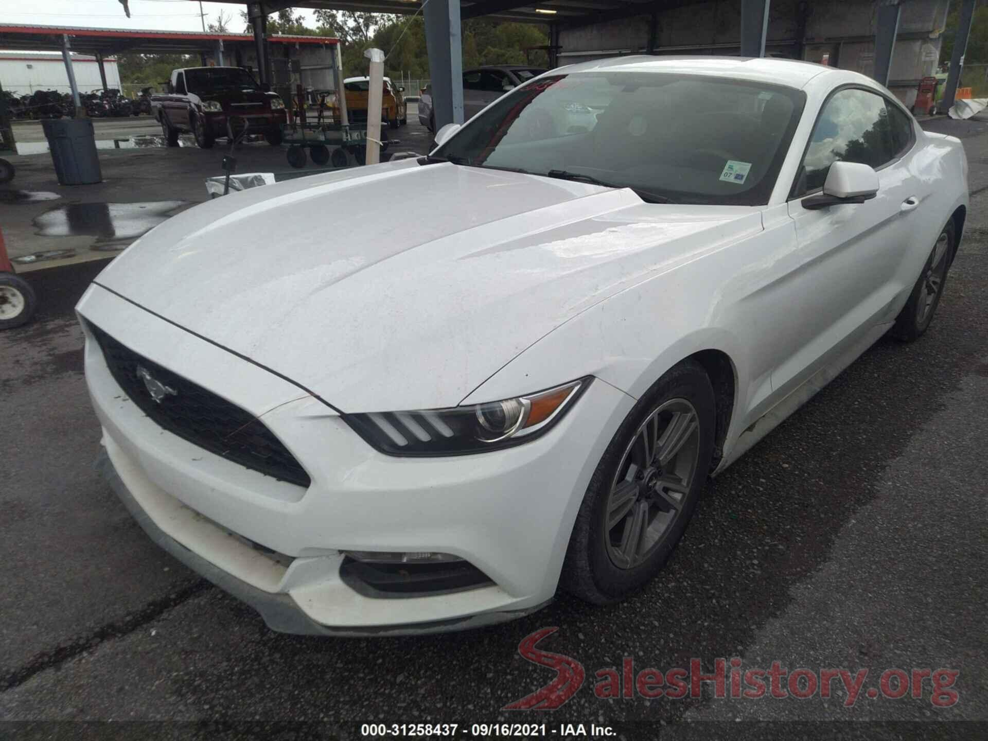 1FA6P8AM8H5280552 2017 FORD MUSTANG