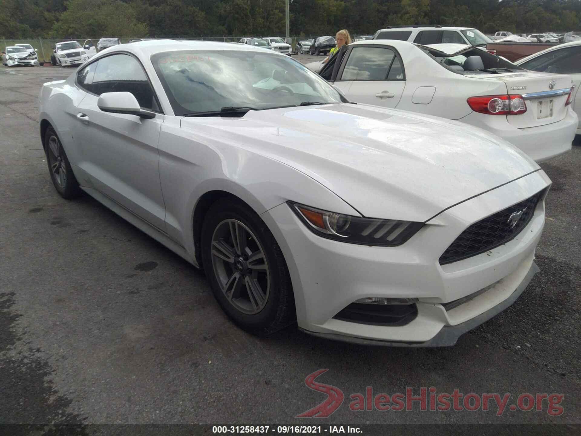 1FA6P8AM8H5280552 2017 FORD MUSTANG