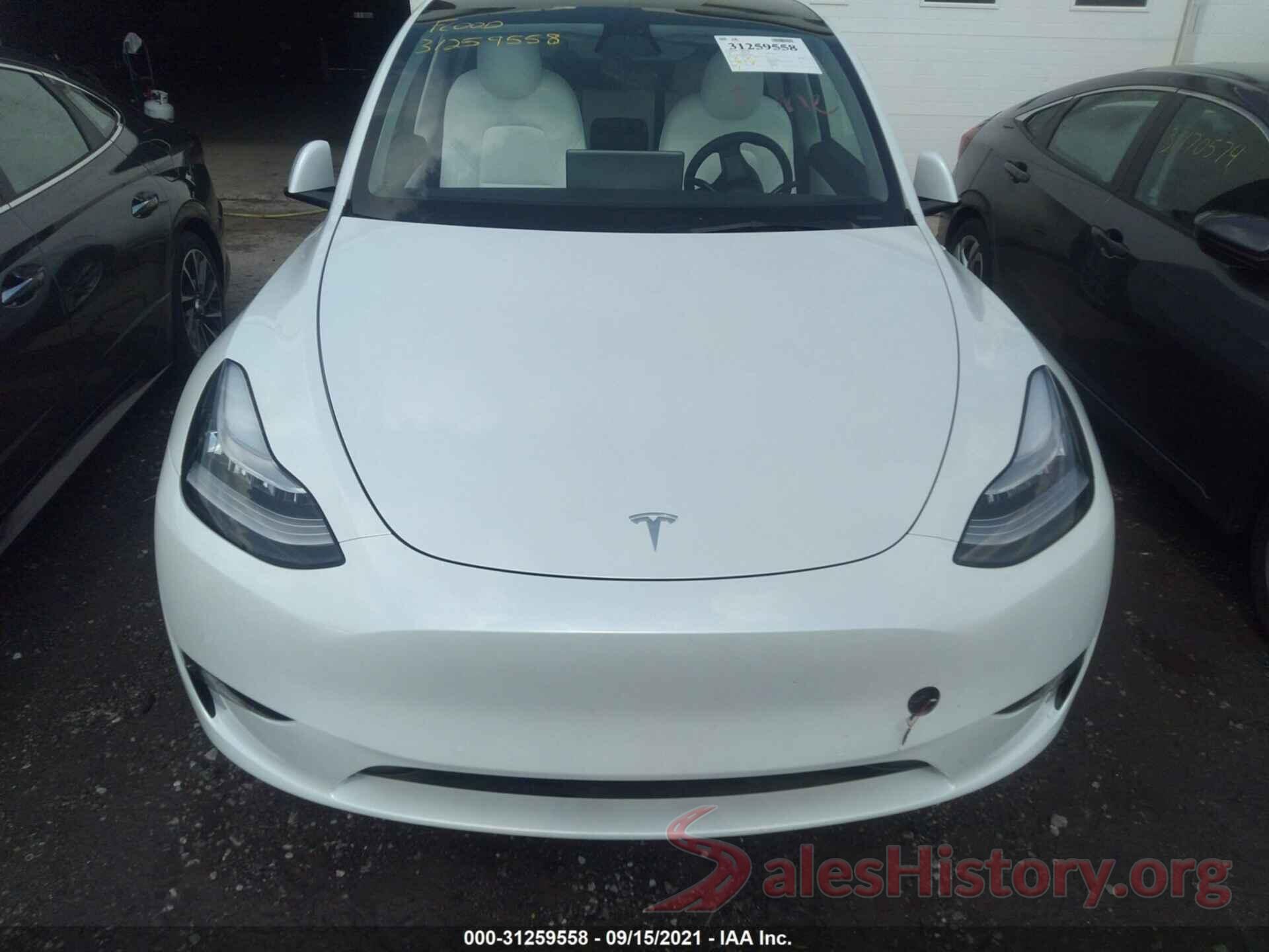 5YJYGDEEXMF228704 2021 TESLA MODEL Y