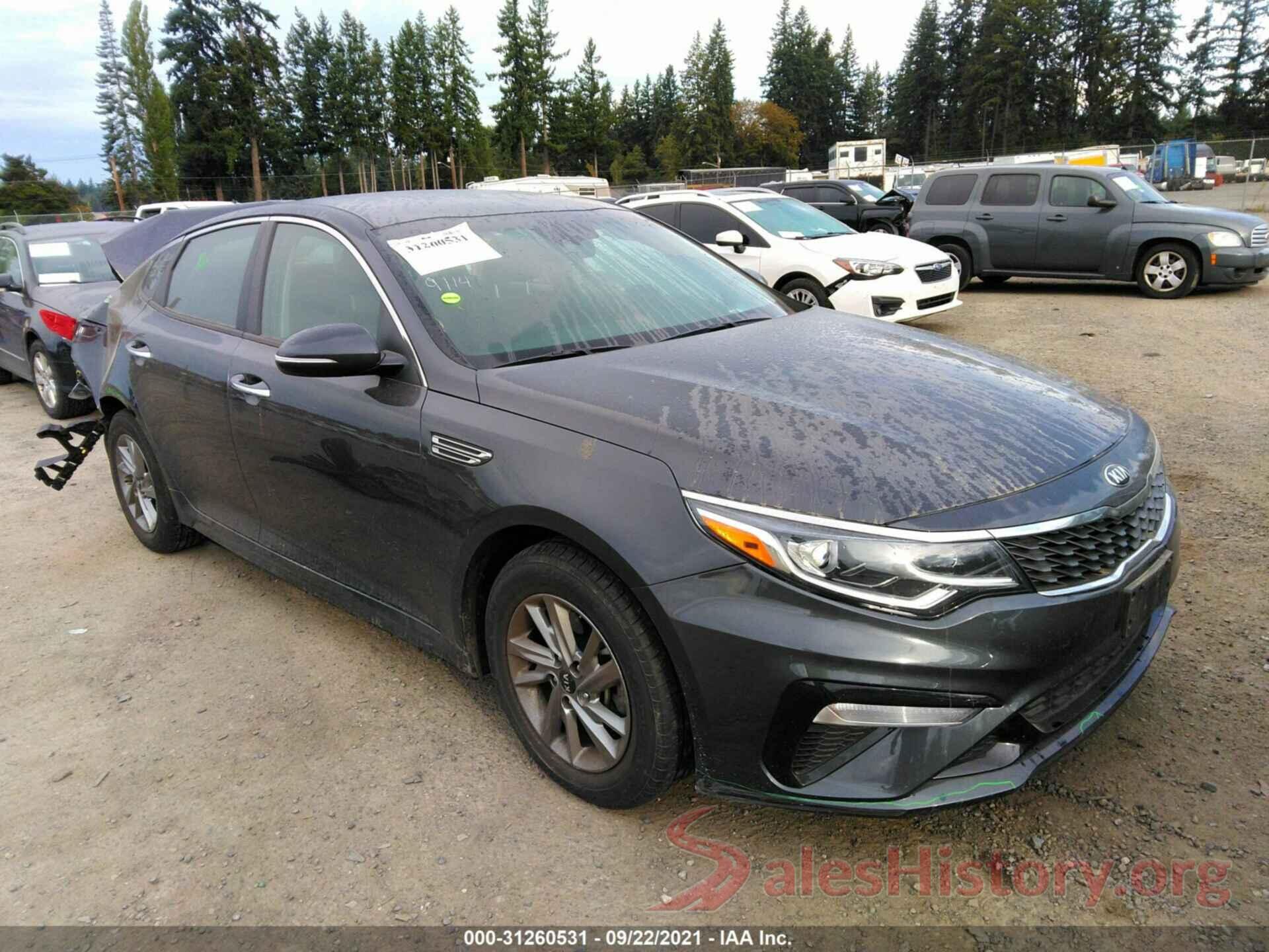 5XXGT4L39KG284314 2019 KIA OPTIMA