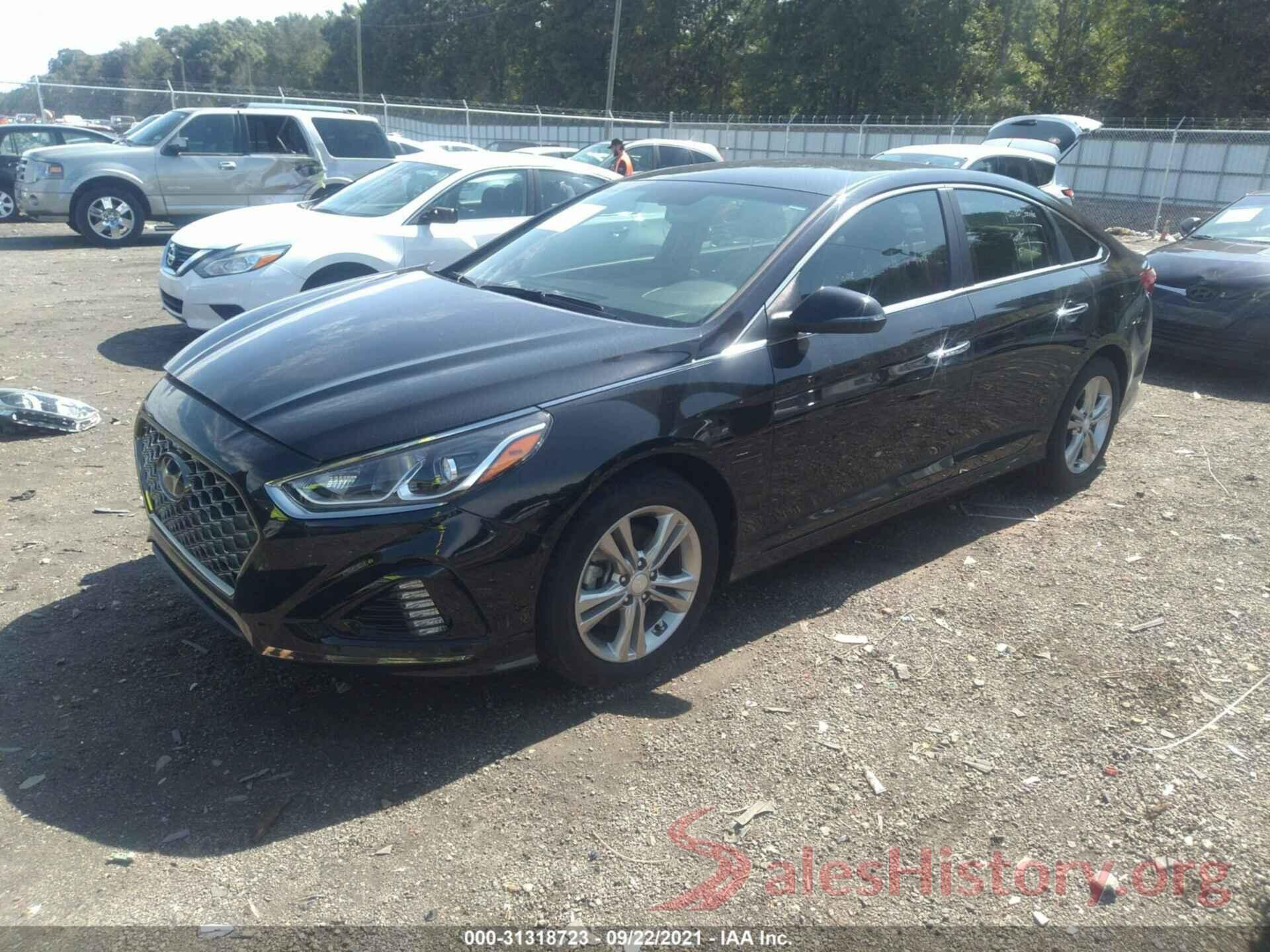 5NPE34AF3KH764647 2019 HYUNDAI SONATA