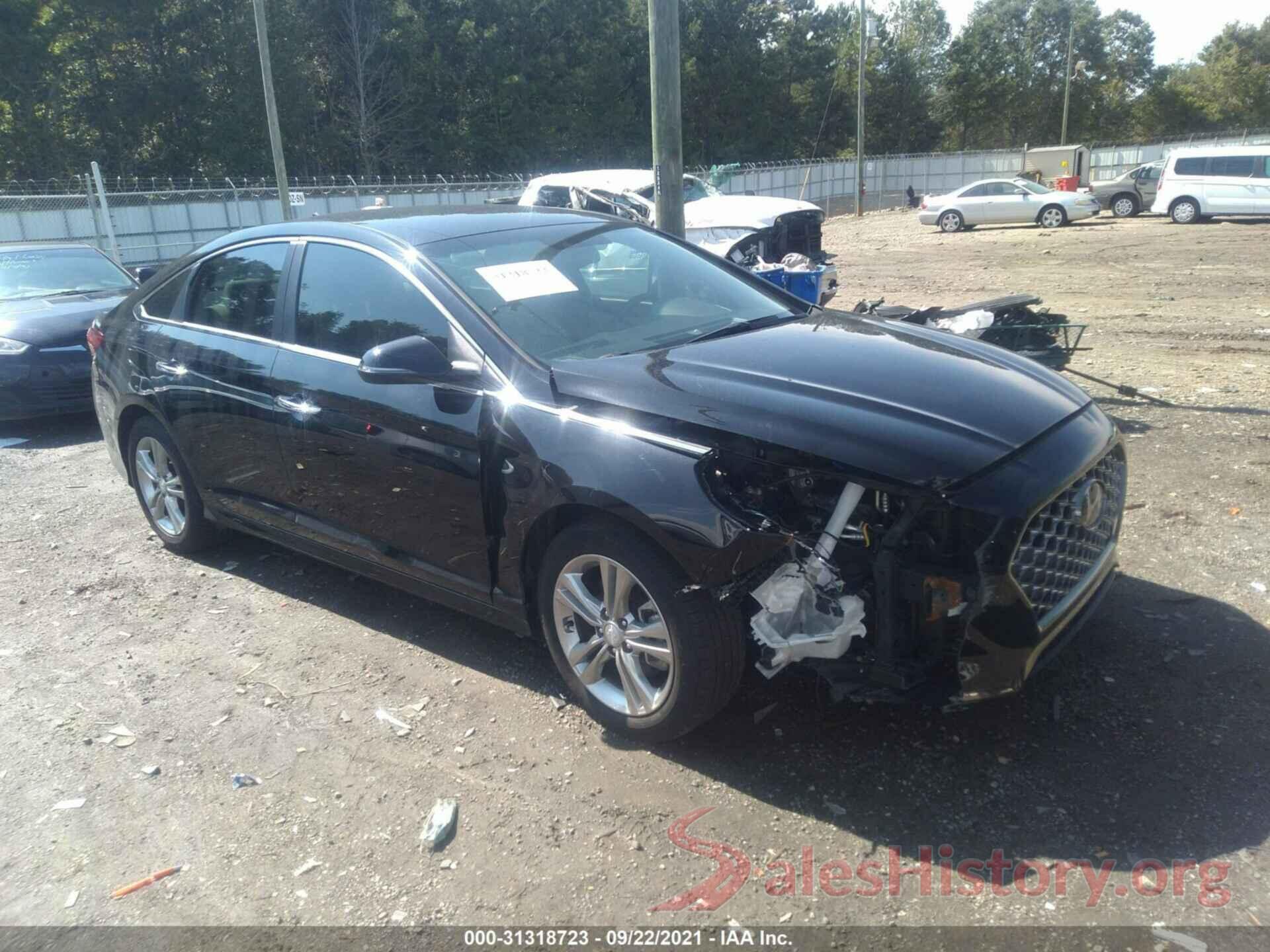 5NPE34AF3KH764647 2019 HYUNDAI SONATA