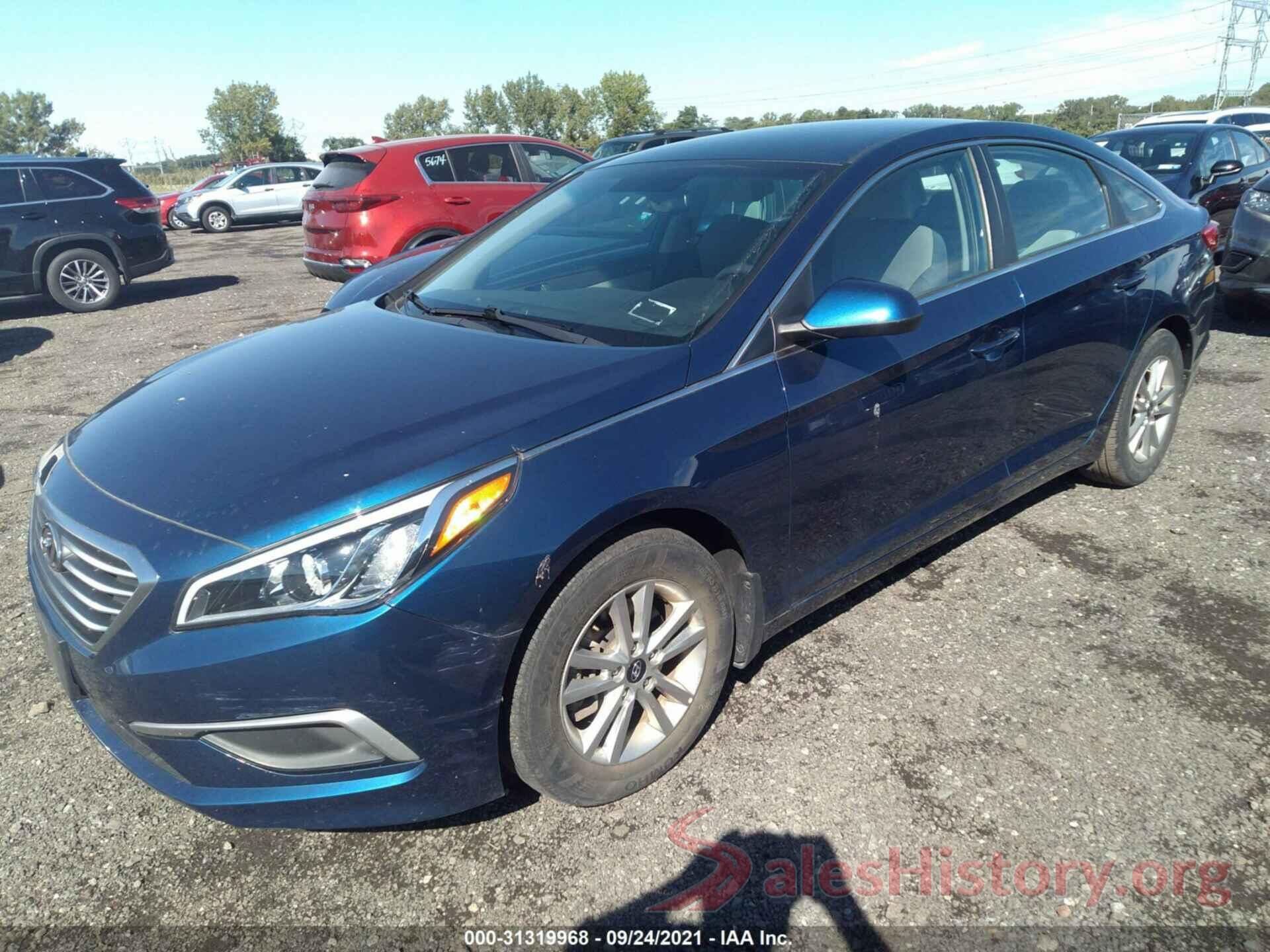 5NPE24AF5HH556636 2017 HYUNDAI SONATA