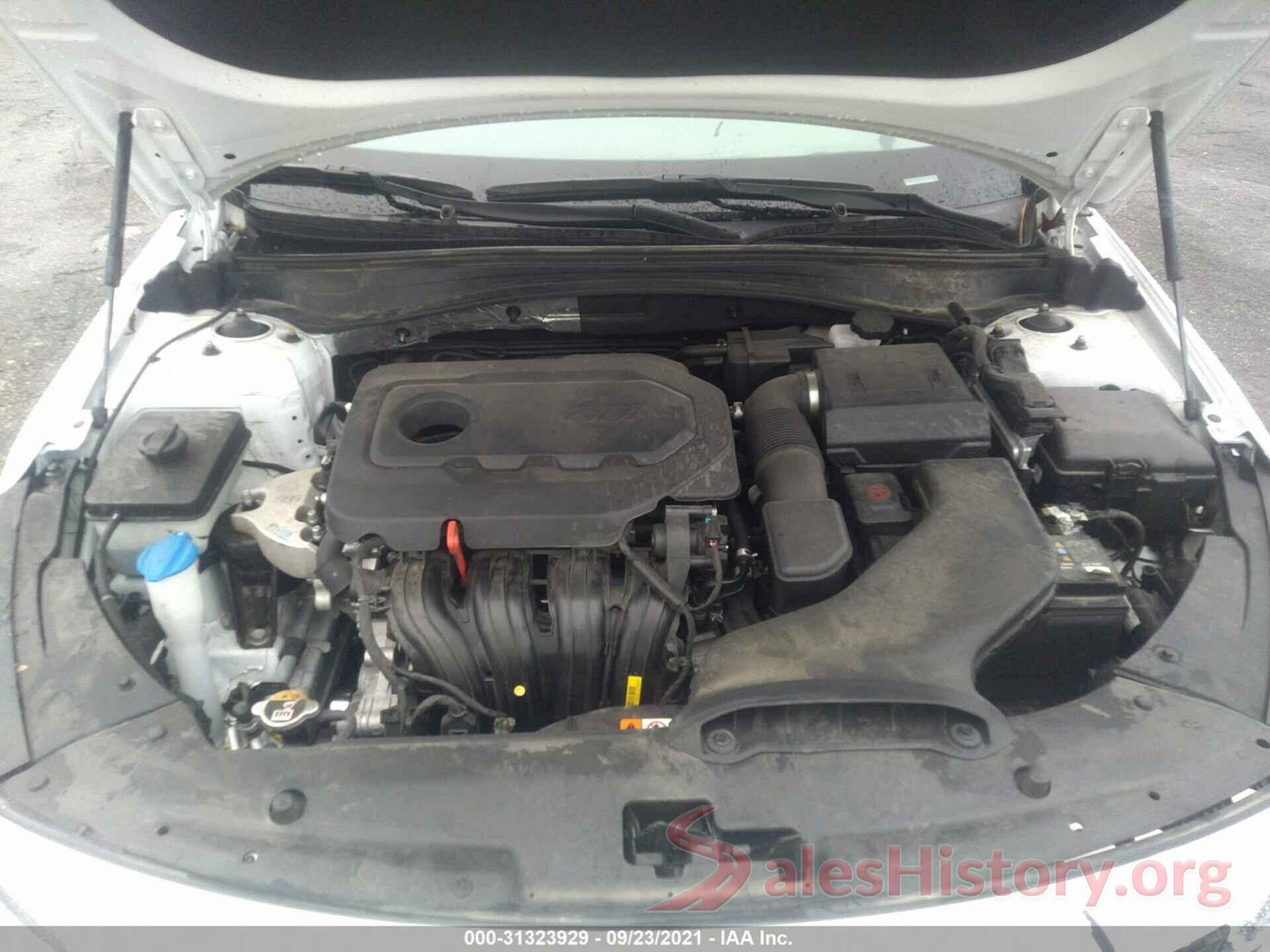 5XXGT4L39KG364955 2019 KIA OPTIMA